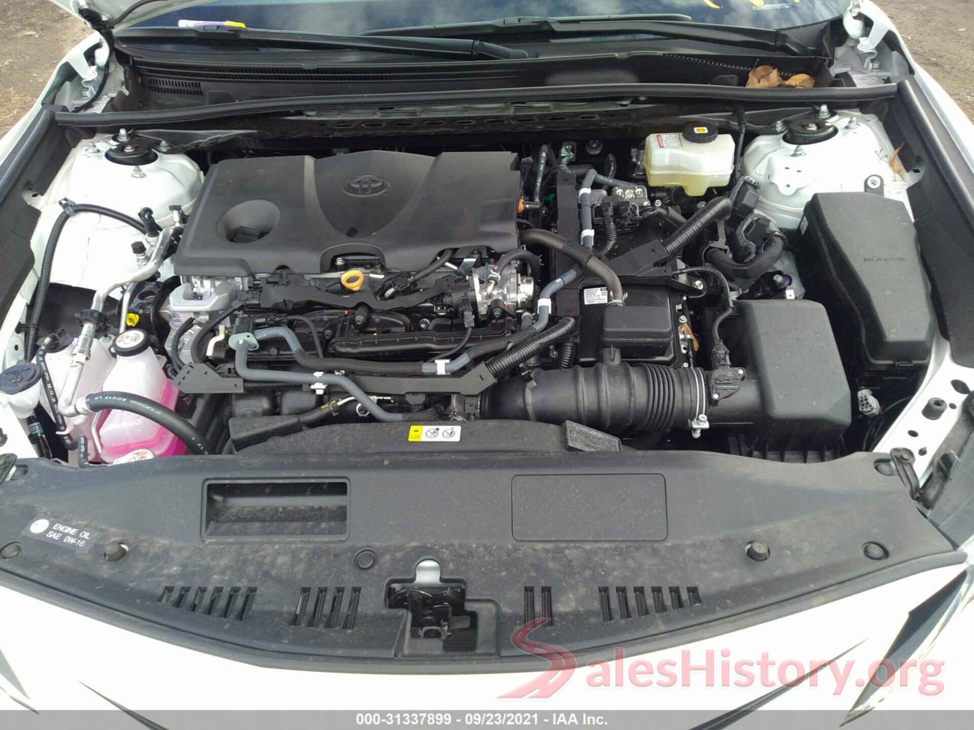 4T1C31AKXMU029753 2021 TOYOTA CAMRY