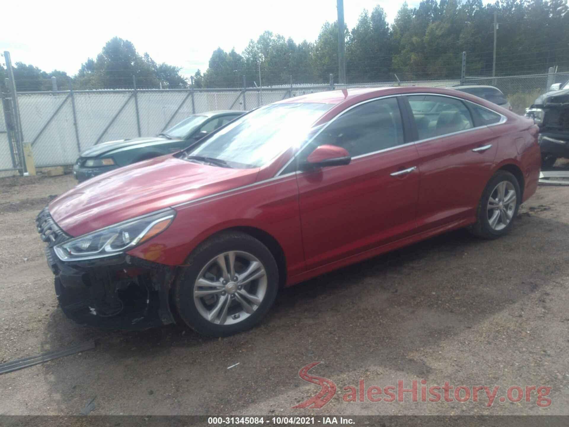 5NPE34AF1KH774111 2019 HYUNDAI SONATA