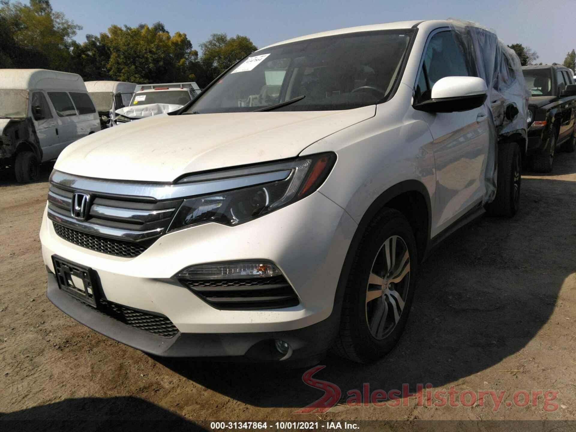 5FNYF5H55GB053884 2016 HONDA PILOT