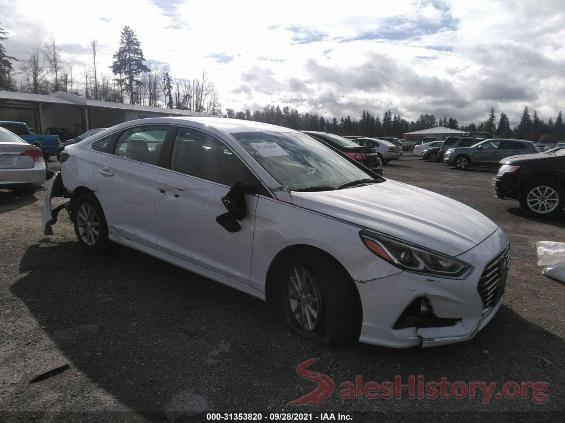 5NPE24AF0KH754452 2019 HYUNDAI SONATA