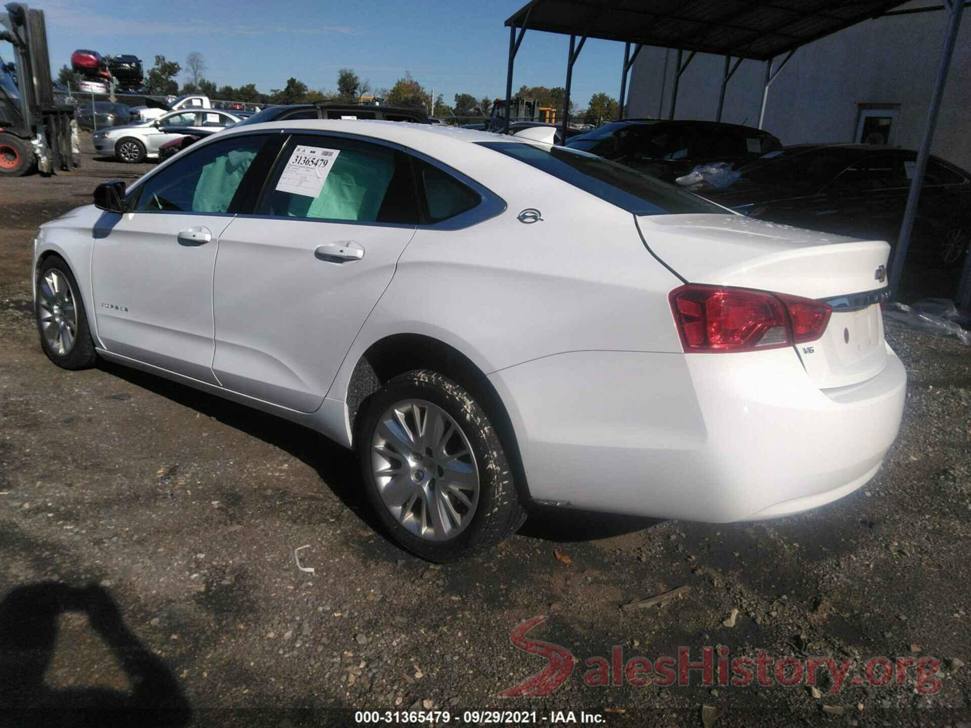 2G11Y5S35K9161088 2019 CHEVROLET IMPALA