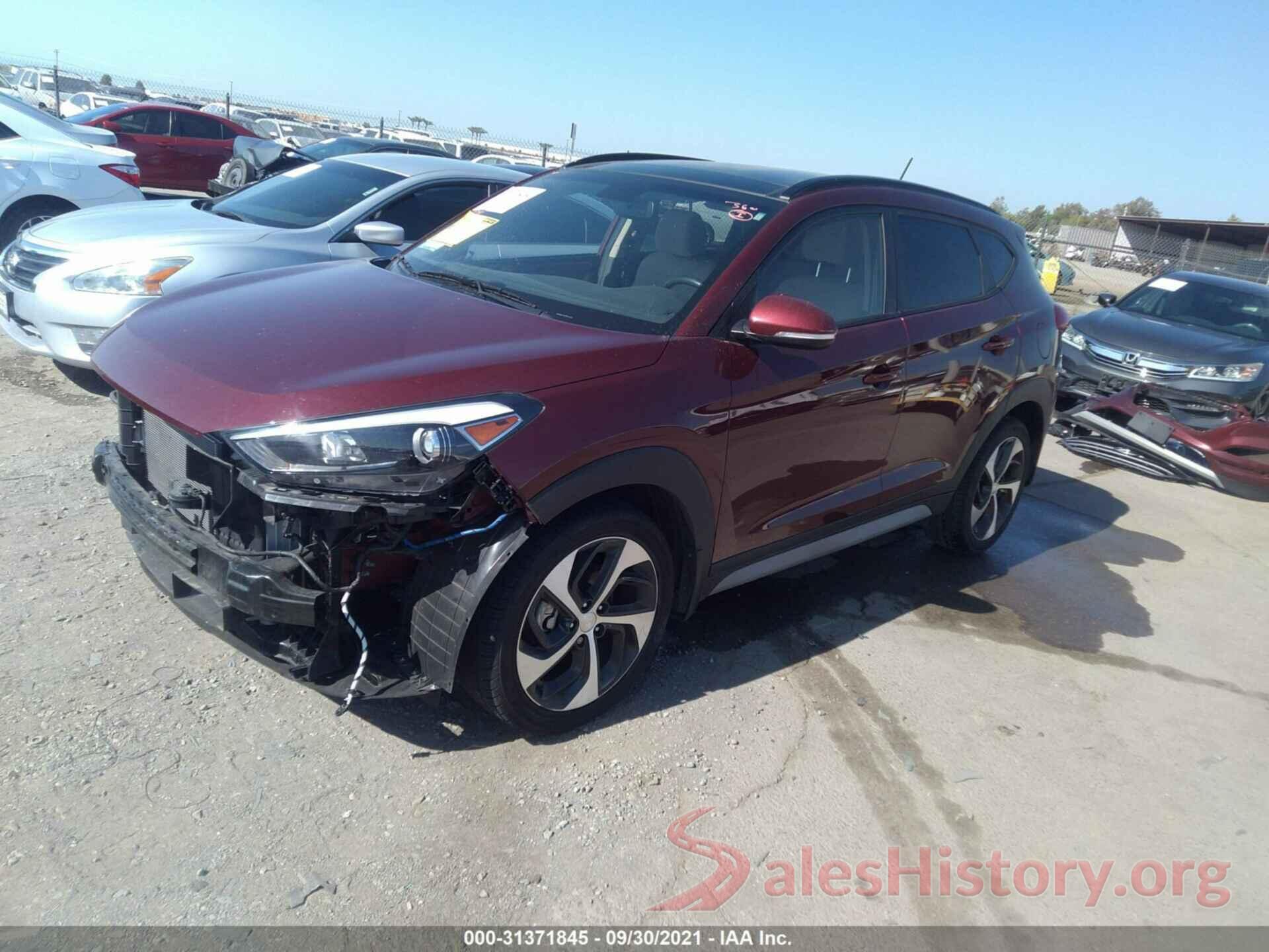 KM8J33A25HU562926 2017 HYUNDAI TUCSON