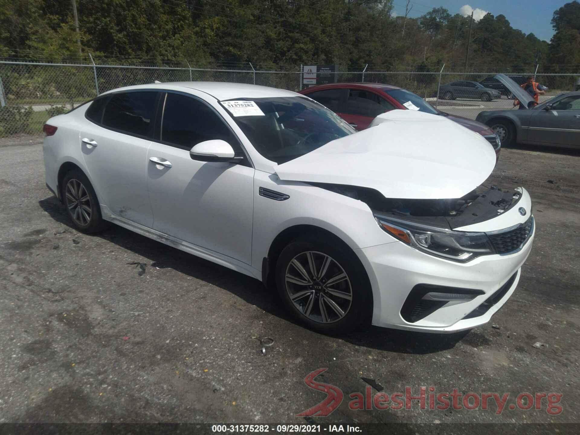 5XXGT4L31KG361127 2019 KIA OPTIMA