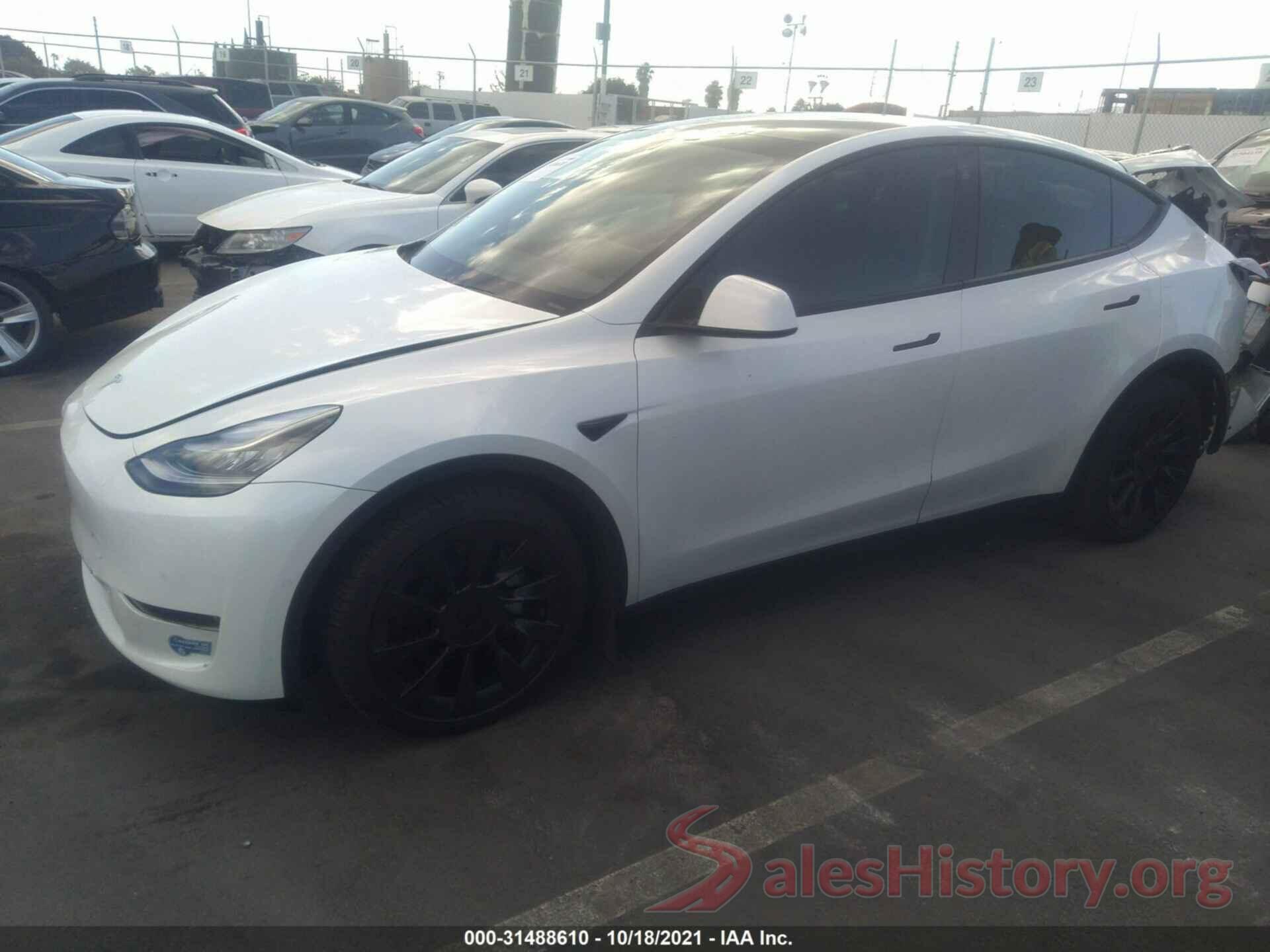 5YJYGDEE4MF061966 2021 TESLA MODEL Y