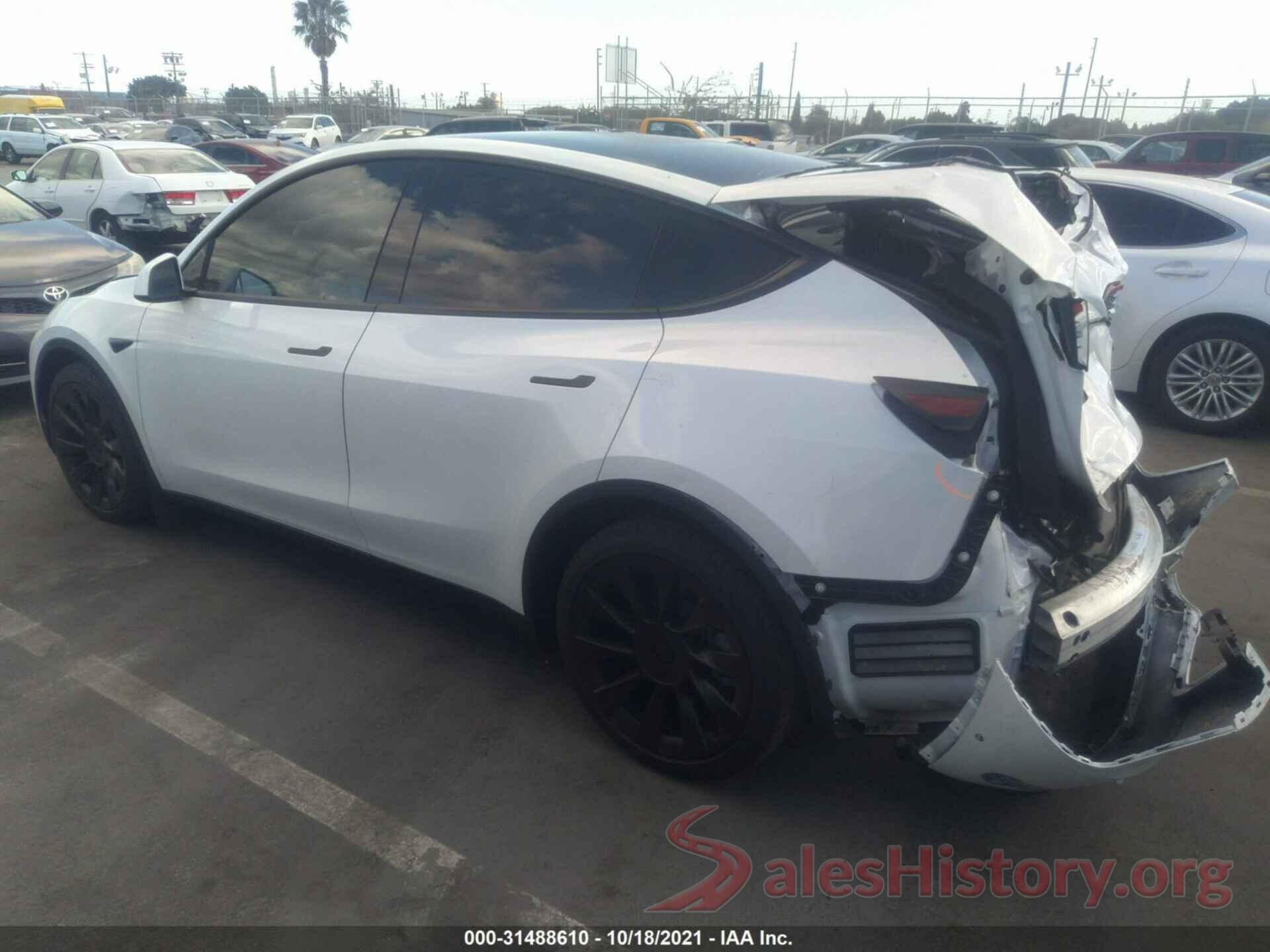 5YJYGDEE4MF061966 2021 TESLA MODEL Y