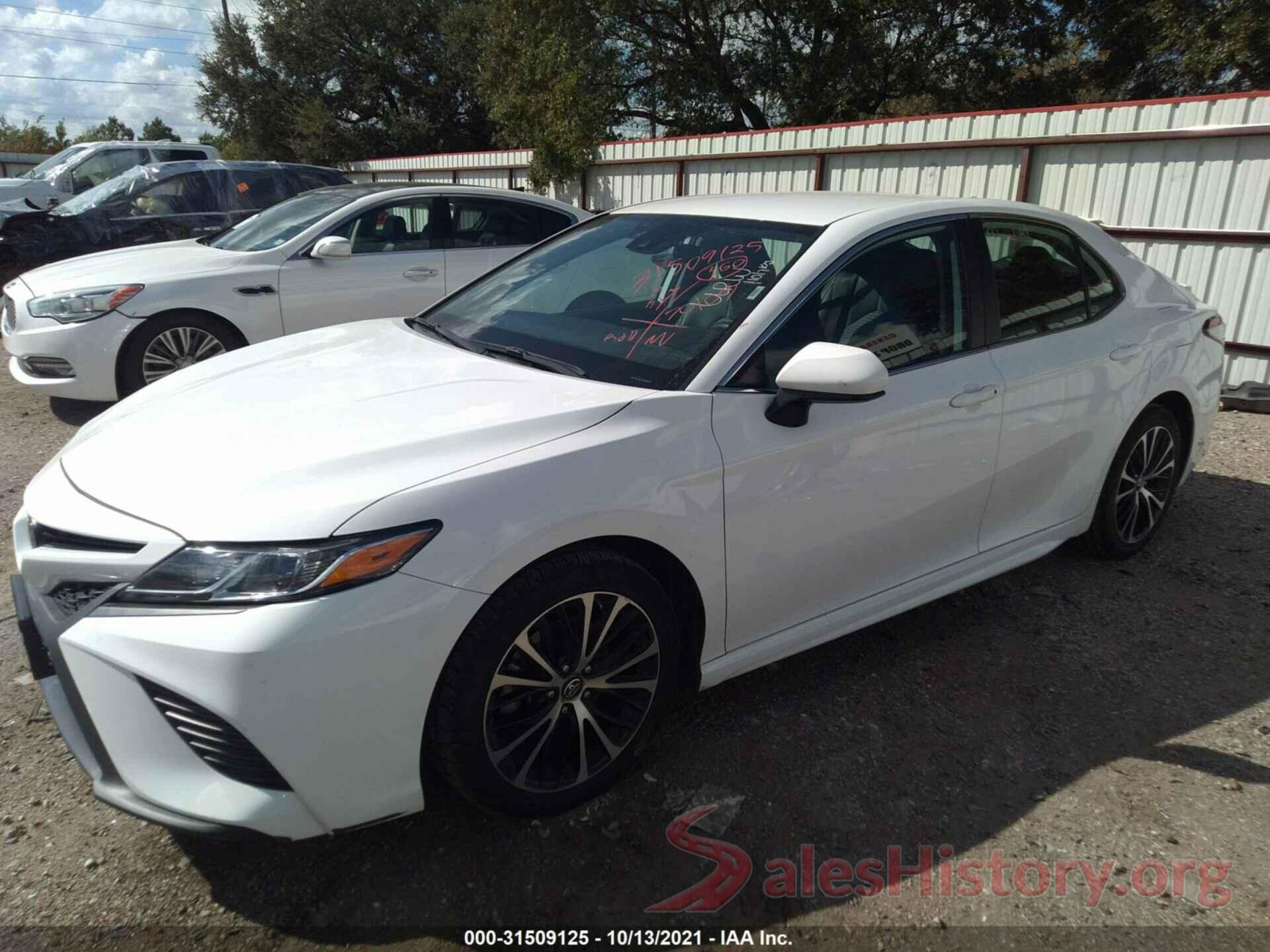 4T1B11HK7KU239053 2019 TOYOTA CAMRY