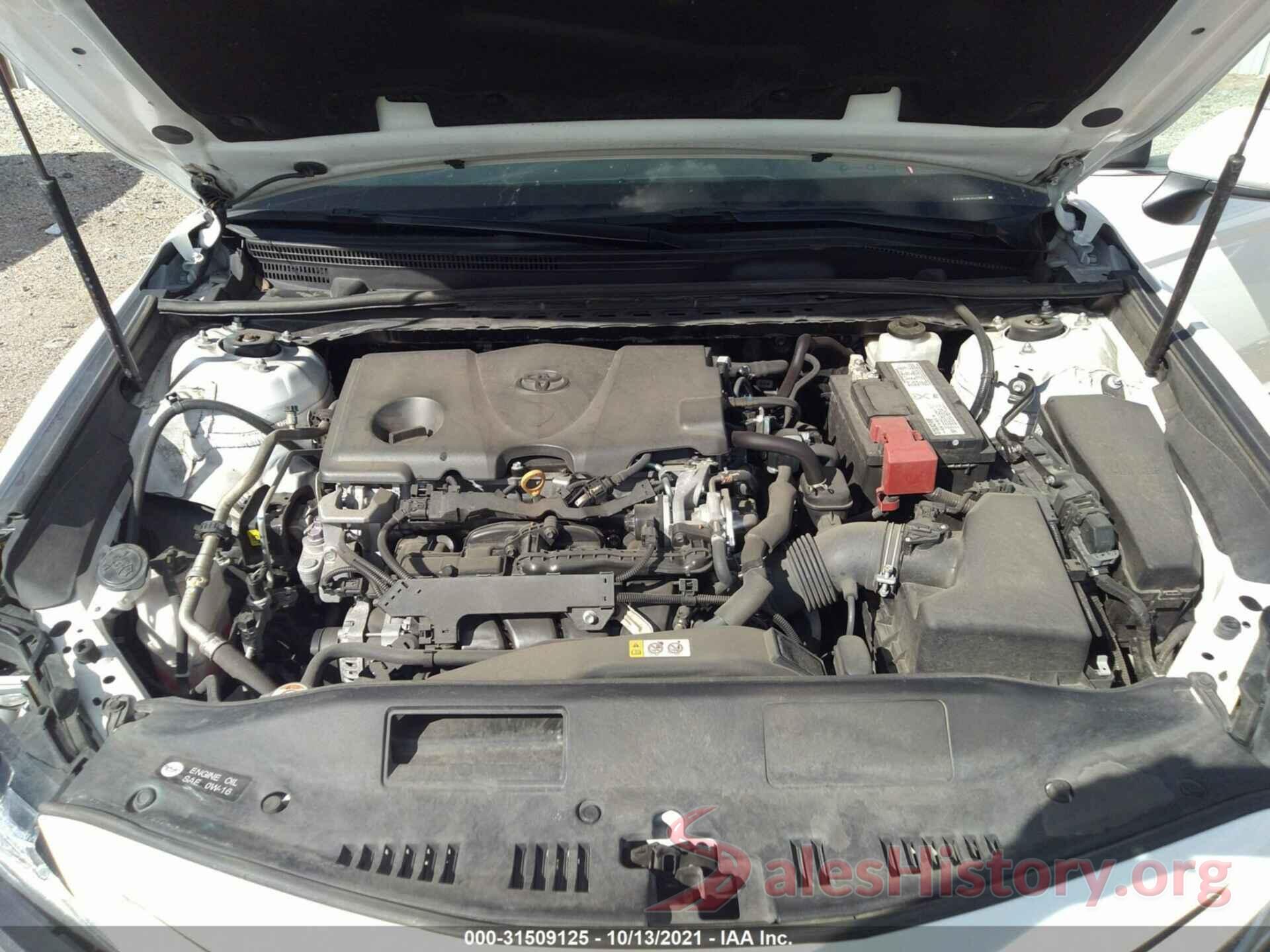 4T1B11HK7KU239053 2019 TOYOTA CAMRY