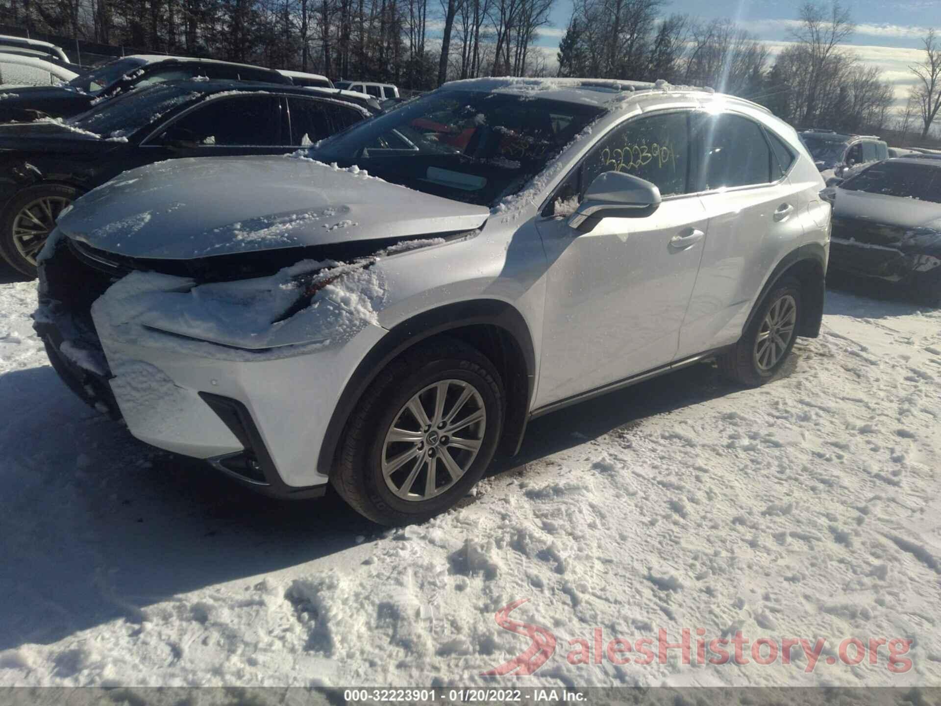 JTJBARBZXK2181411 2019 LEXUS NX