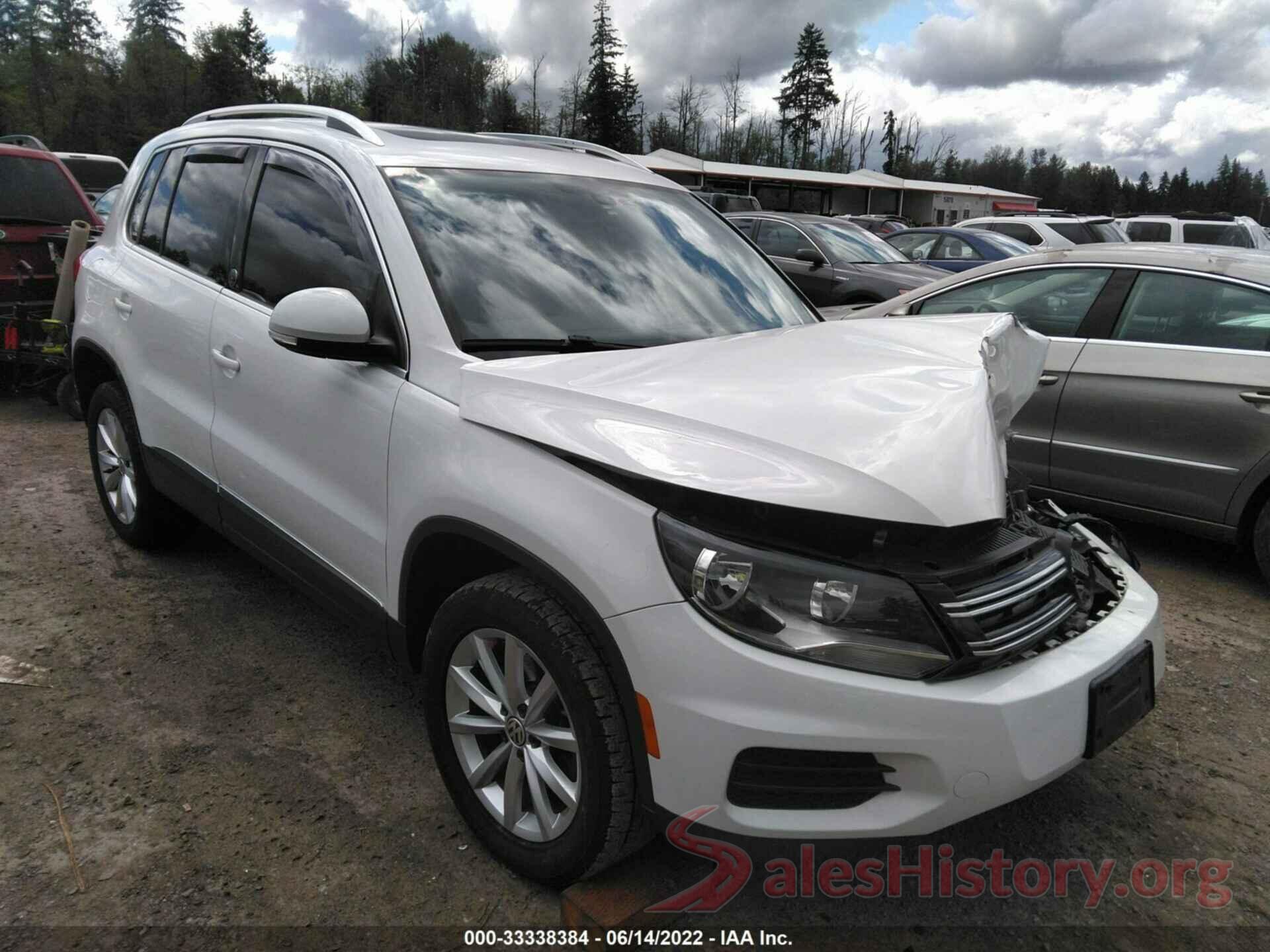 WVGSV7AX9HK014859 2017 VOLKSWAGEN TIGUAN