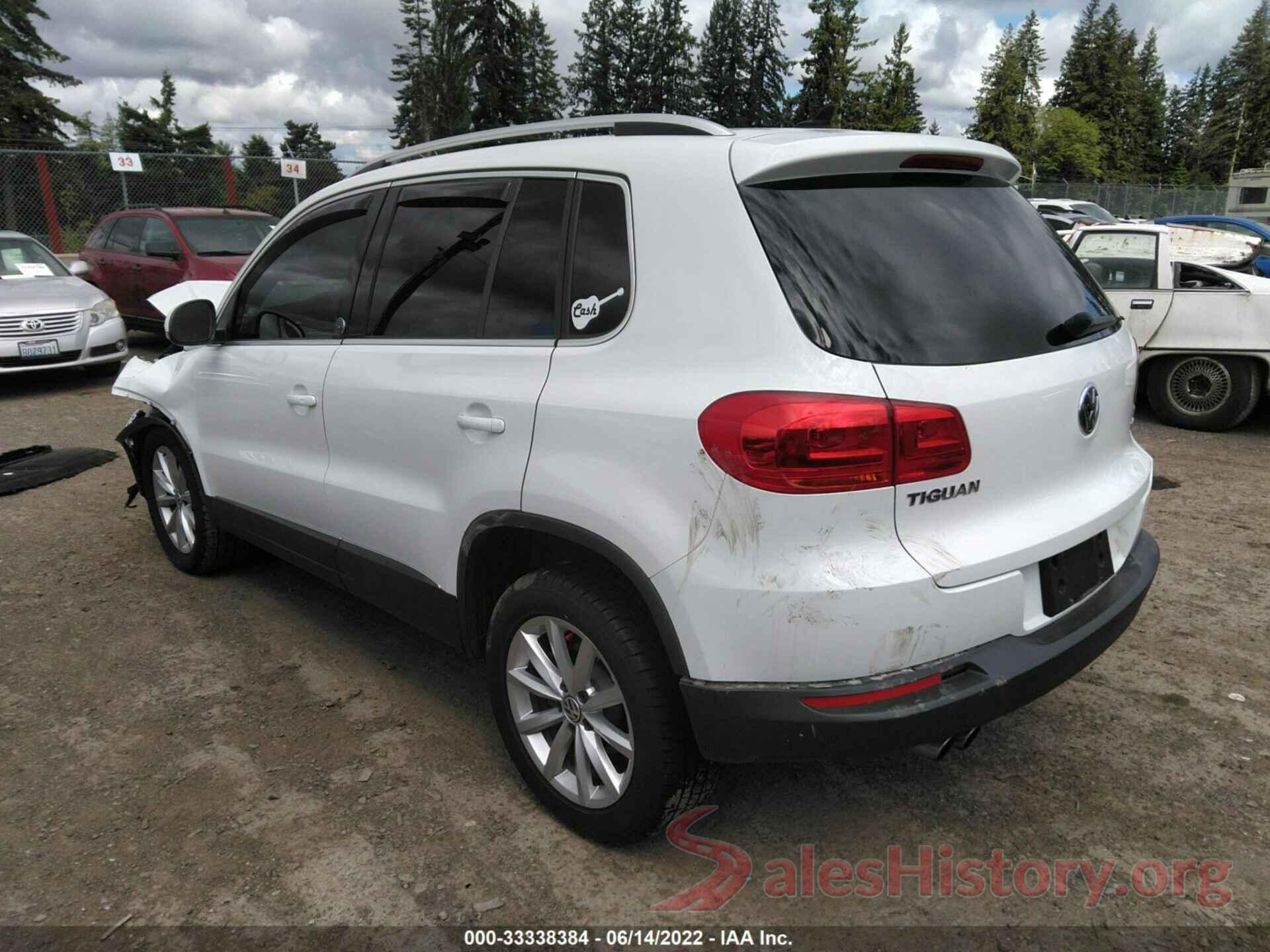 WVGSV7AX9HK014859 2017 VOLKSWAGEN TIGUAN