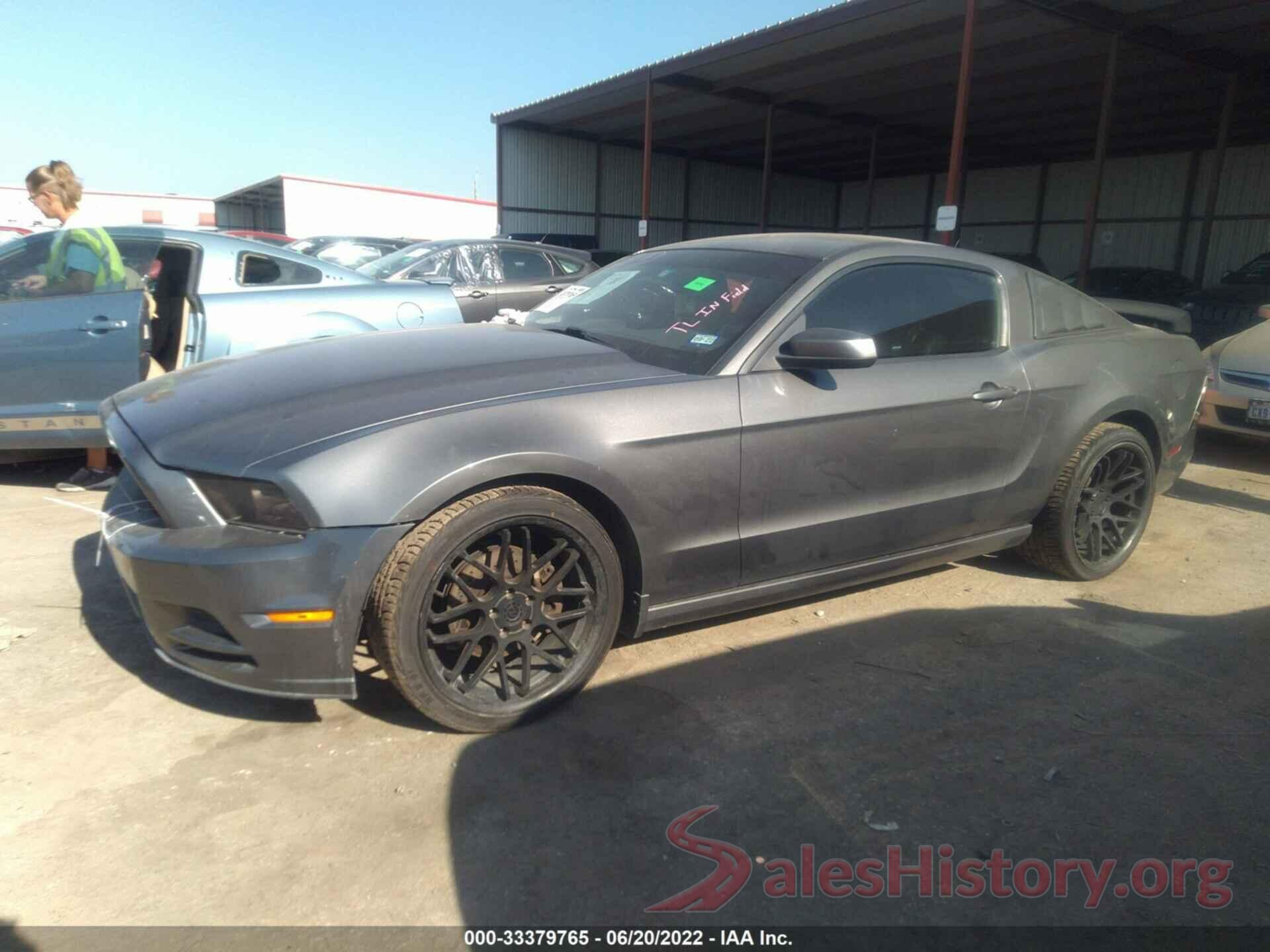 1ZVBP8AM0D5250185 2013 FORD MUSTANG