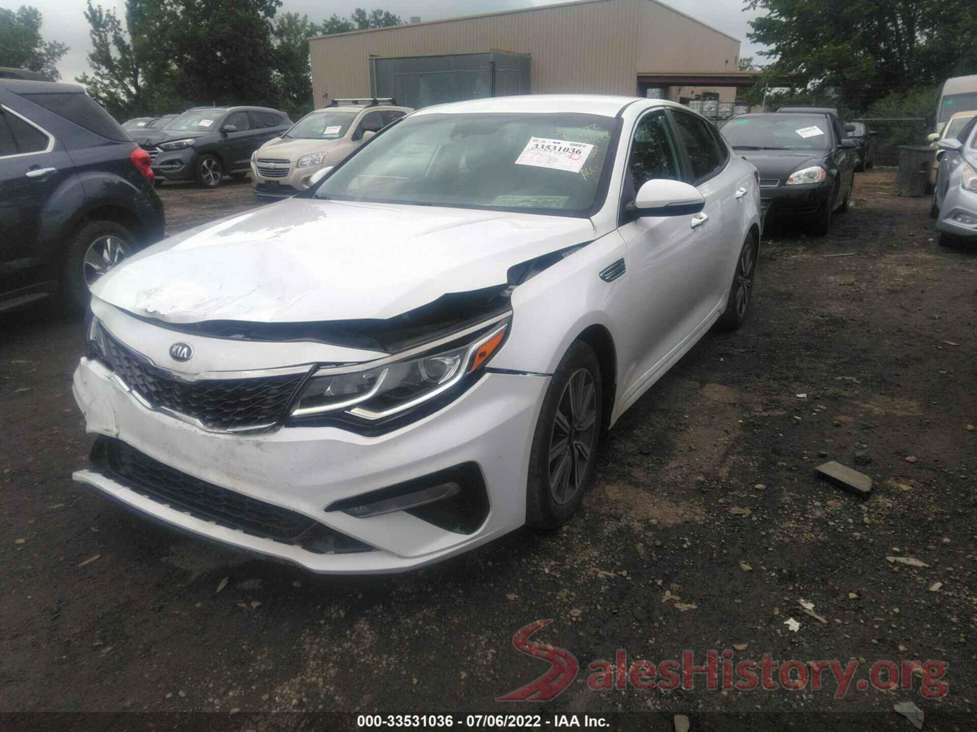 5XXGT4L34KG368802 2019 KIA OPTIMA