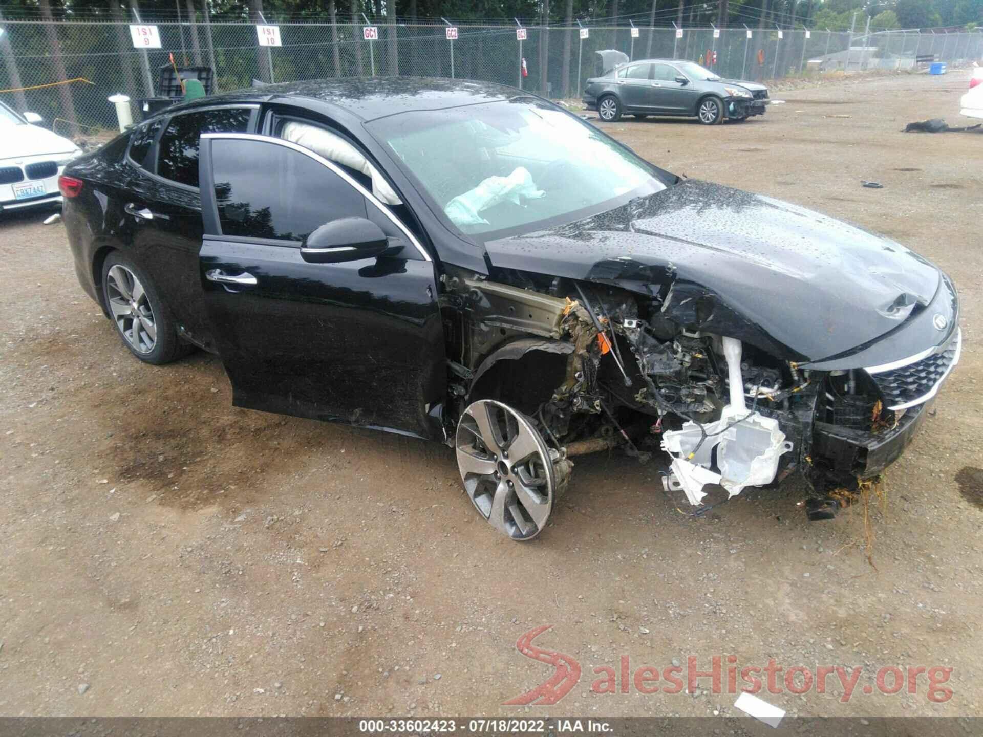 5XXGT4L36KG310223 2019 KIA OPTIMA