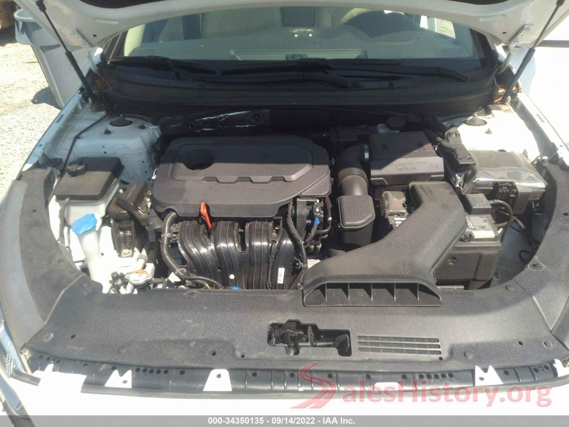 5NPE24AF9KH813370 2019 HYUNDAI SONATA