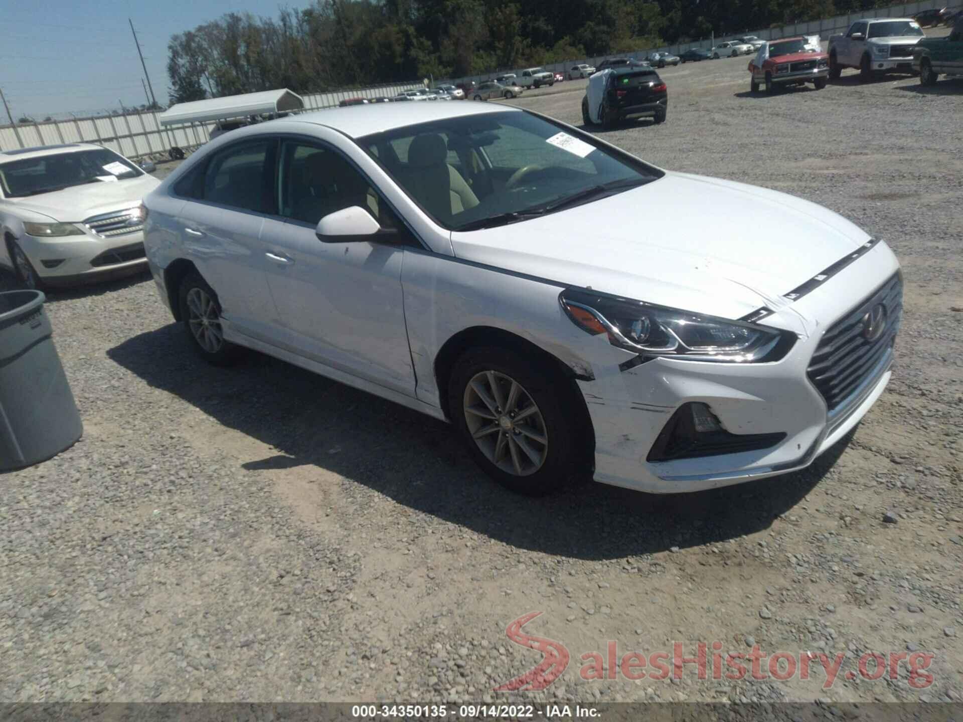 5NPE24AF9KH813370 2019 HYUNDAI SONATA