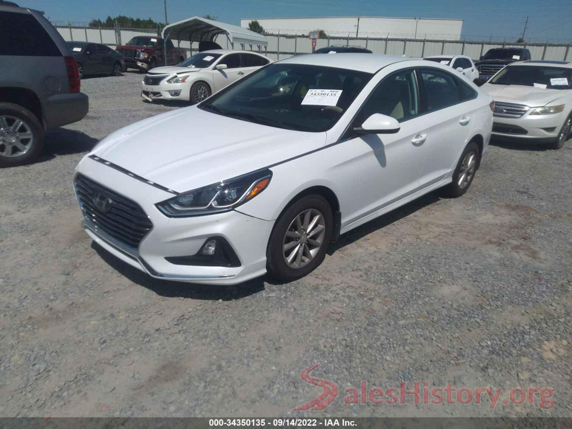 5NPE24AF9KH813370 2019 HYUNDAI SONATA