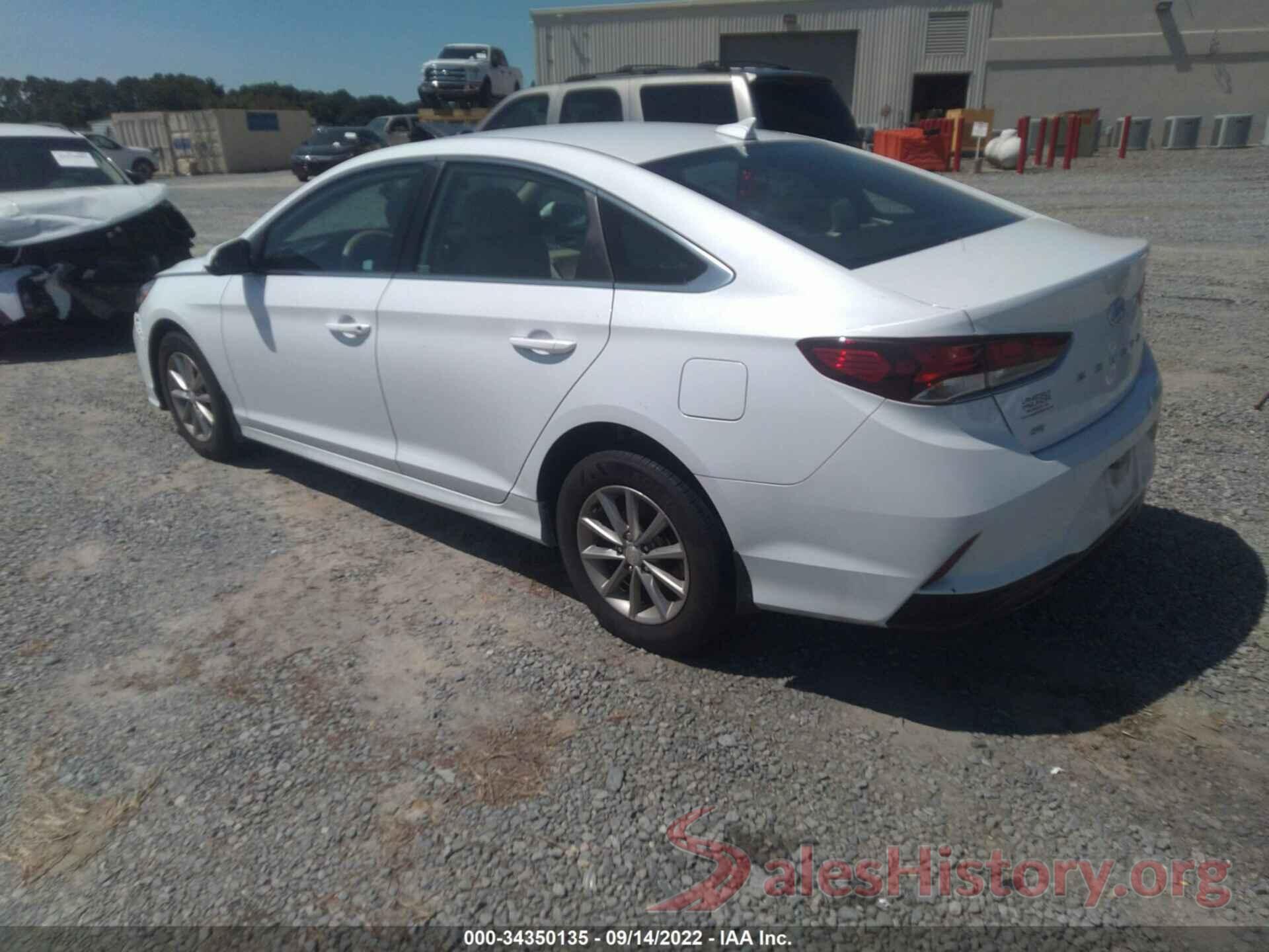 5NPE24AF9KH813370 2019 HYUNDAI SONATA