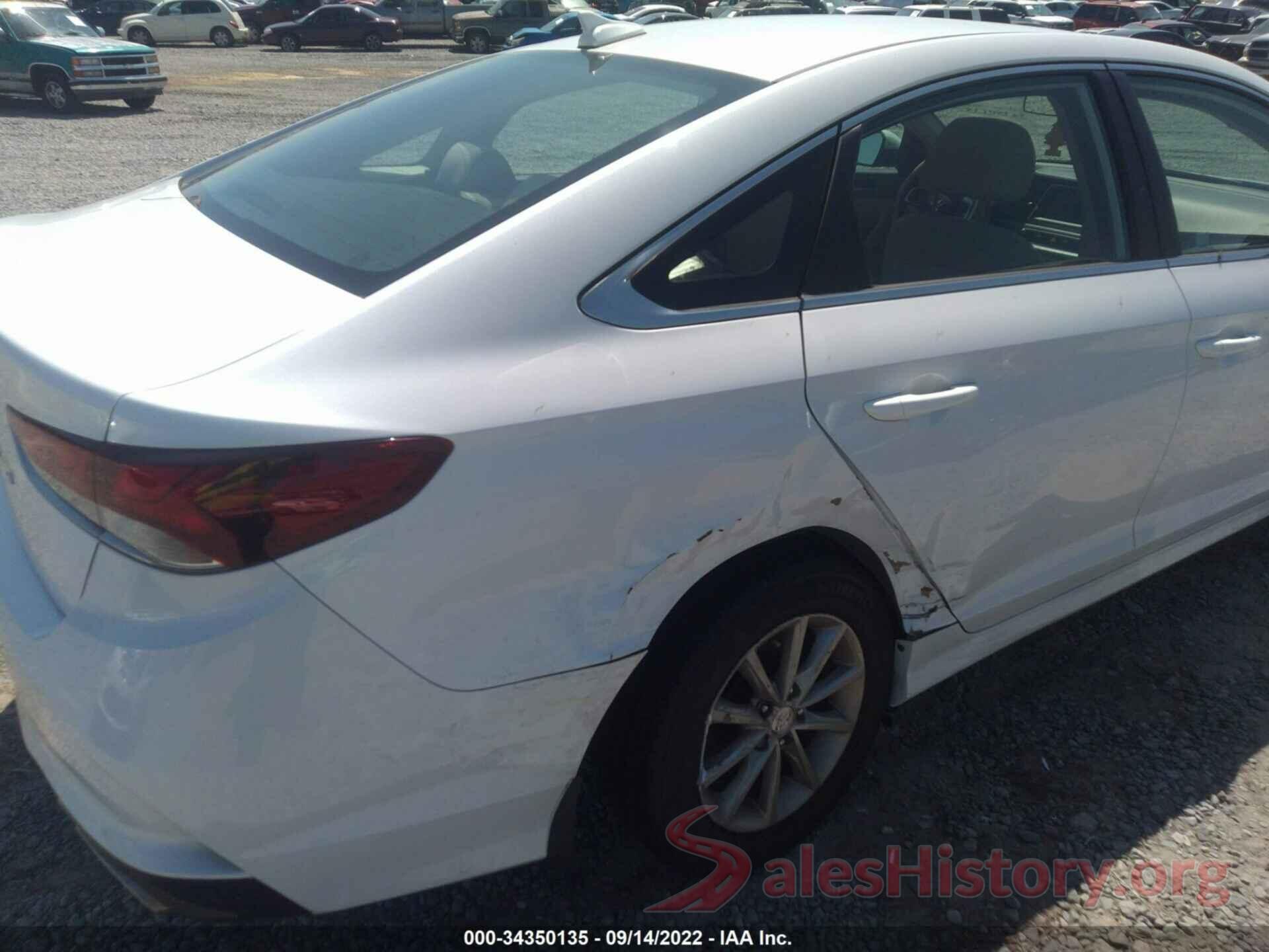 5NPE24AF9KH813370 2019 HYUNDAI SONATA