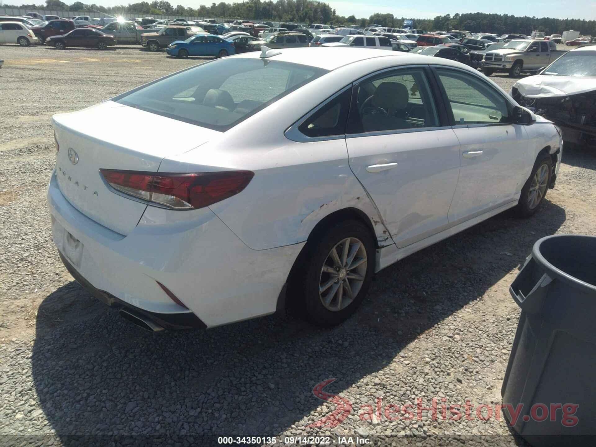 5NPE24AF9KH813370 2019 HYUNDAI SONATA