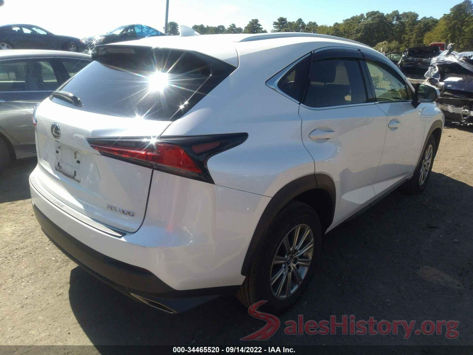 JTJYARBZ5K2121286 2019 LEXUS NX