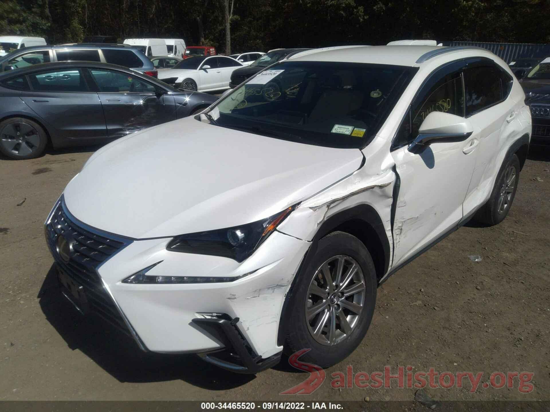 JTJYARBZ5K2121286 2019 LEXUS NX