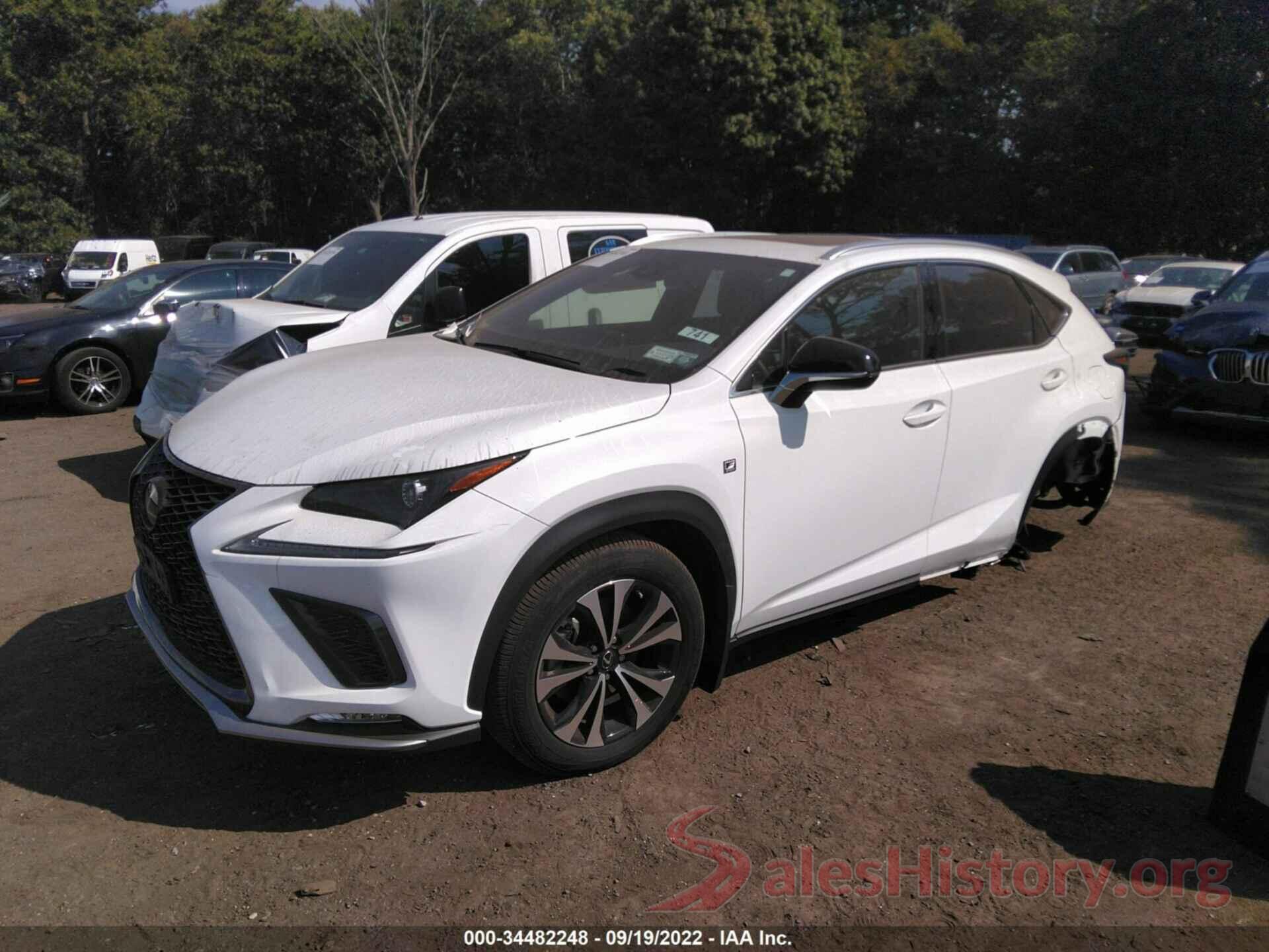 JTJSARDZ3M2262184 2021 LEXUS NX