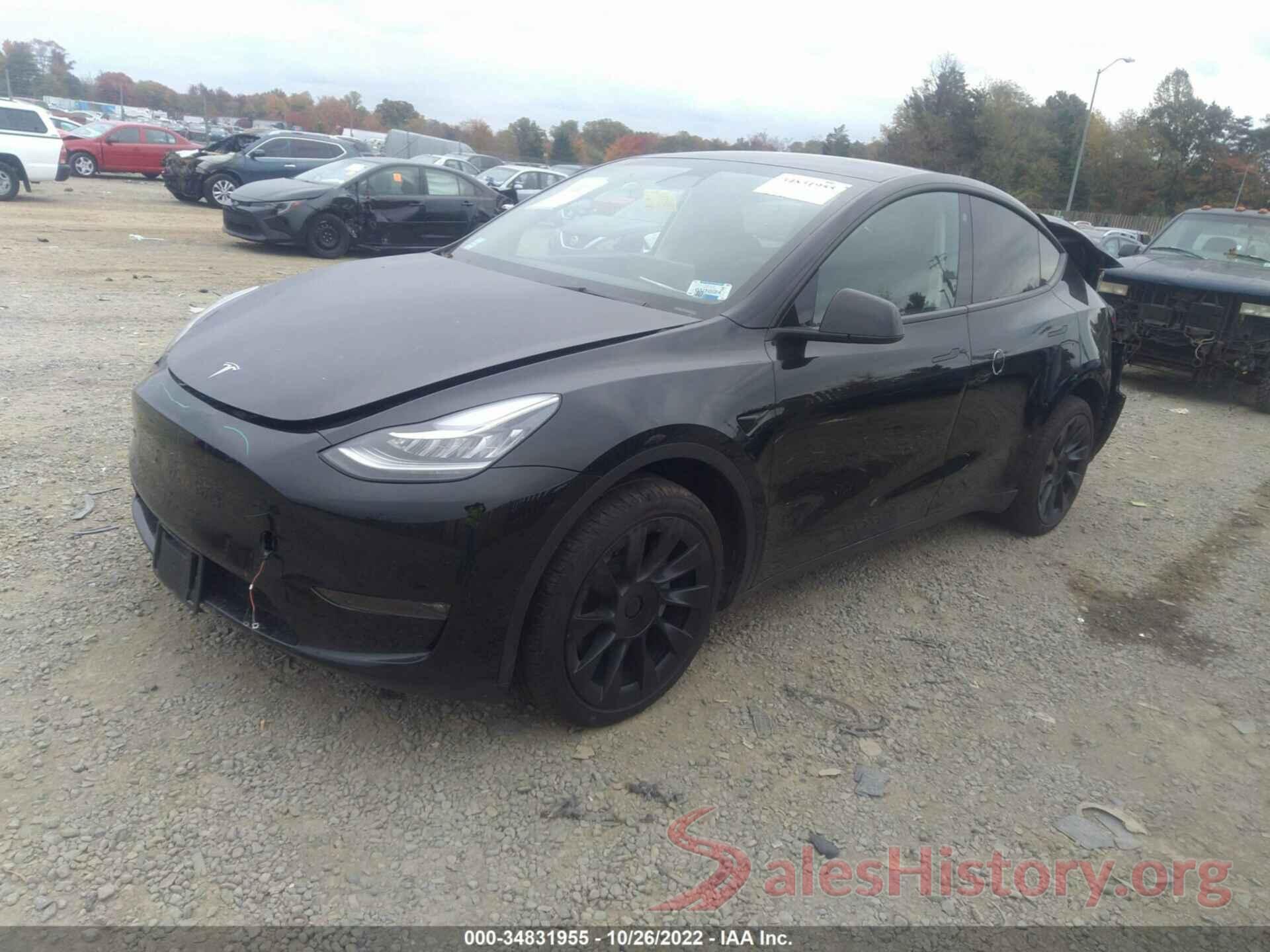 5YJYGDEE8MF283989 2021 TESLA MODEL Y