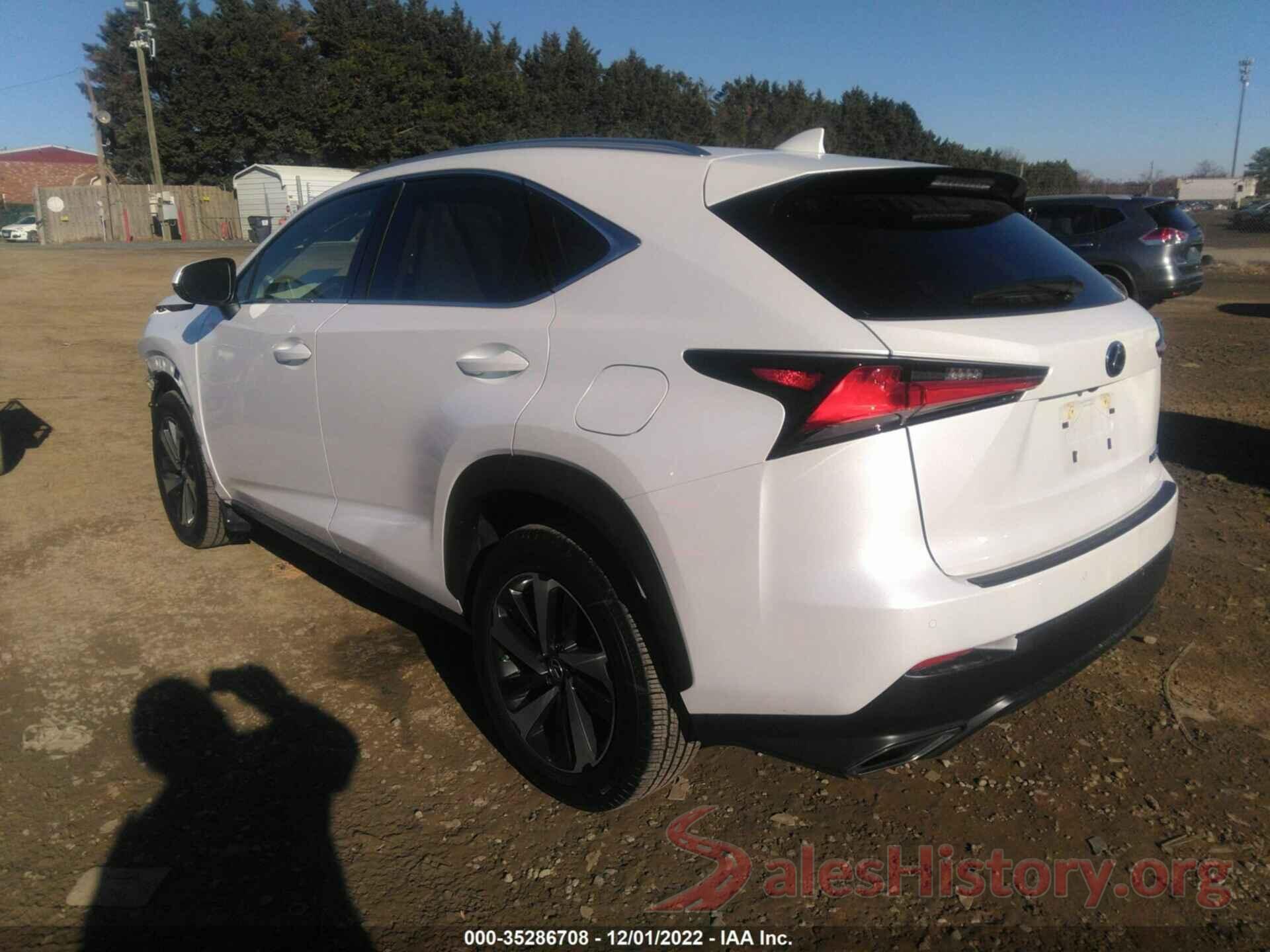 JTJGARBZ9M5034231 2021 LEXUS NX