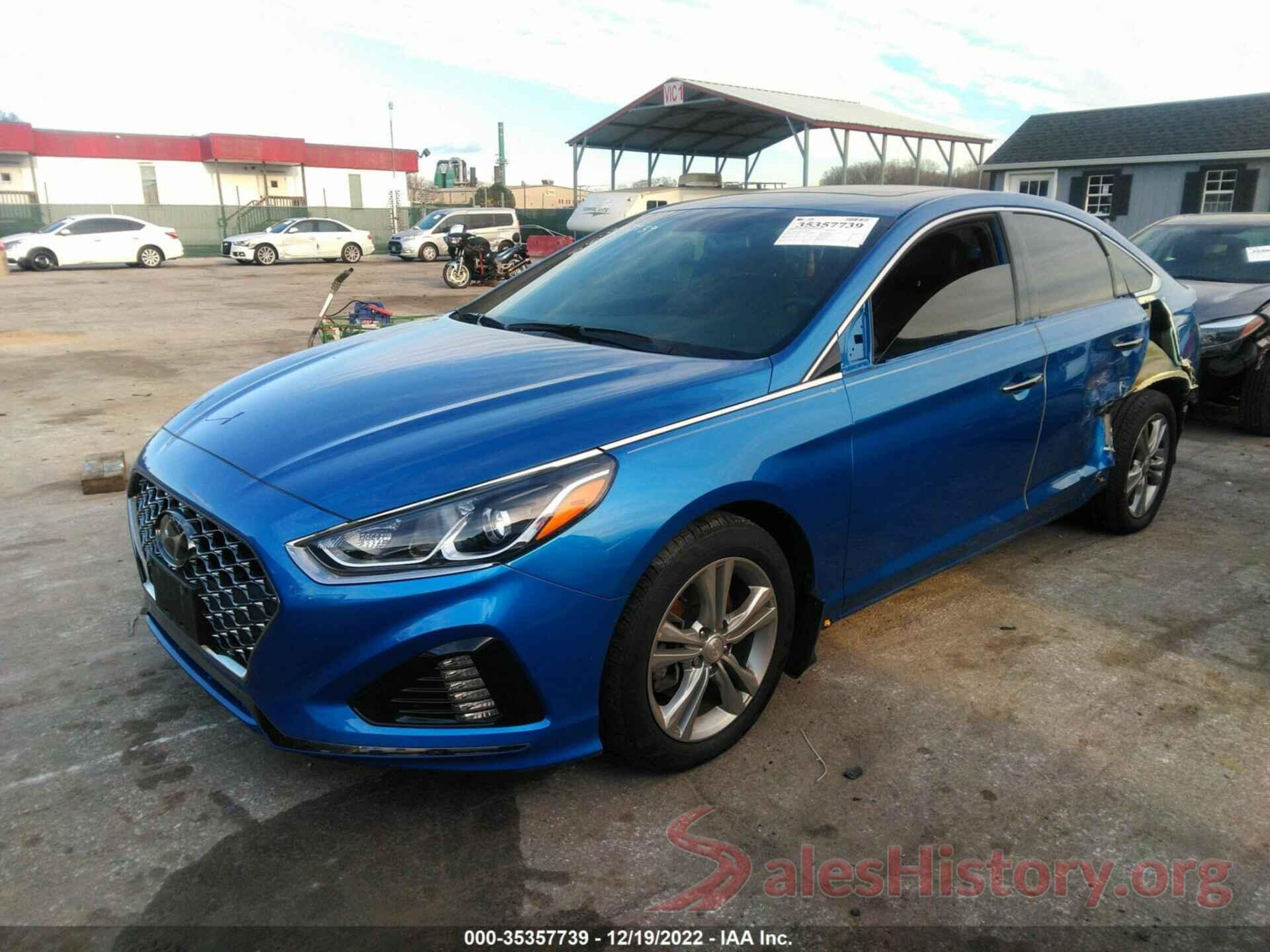 5NPE34AF1KH736409 2019 HYUNDAI SONATA