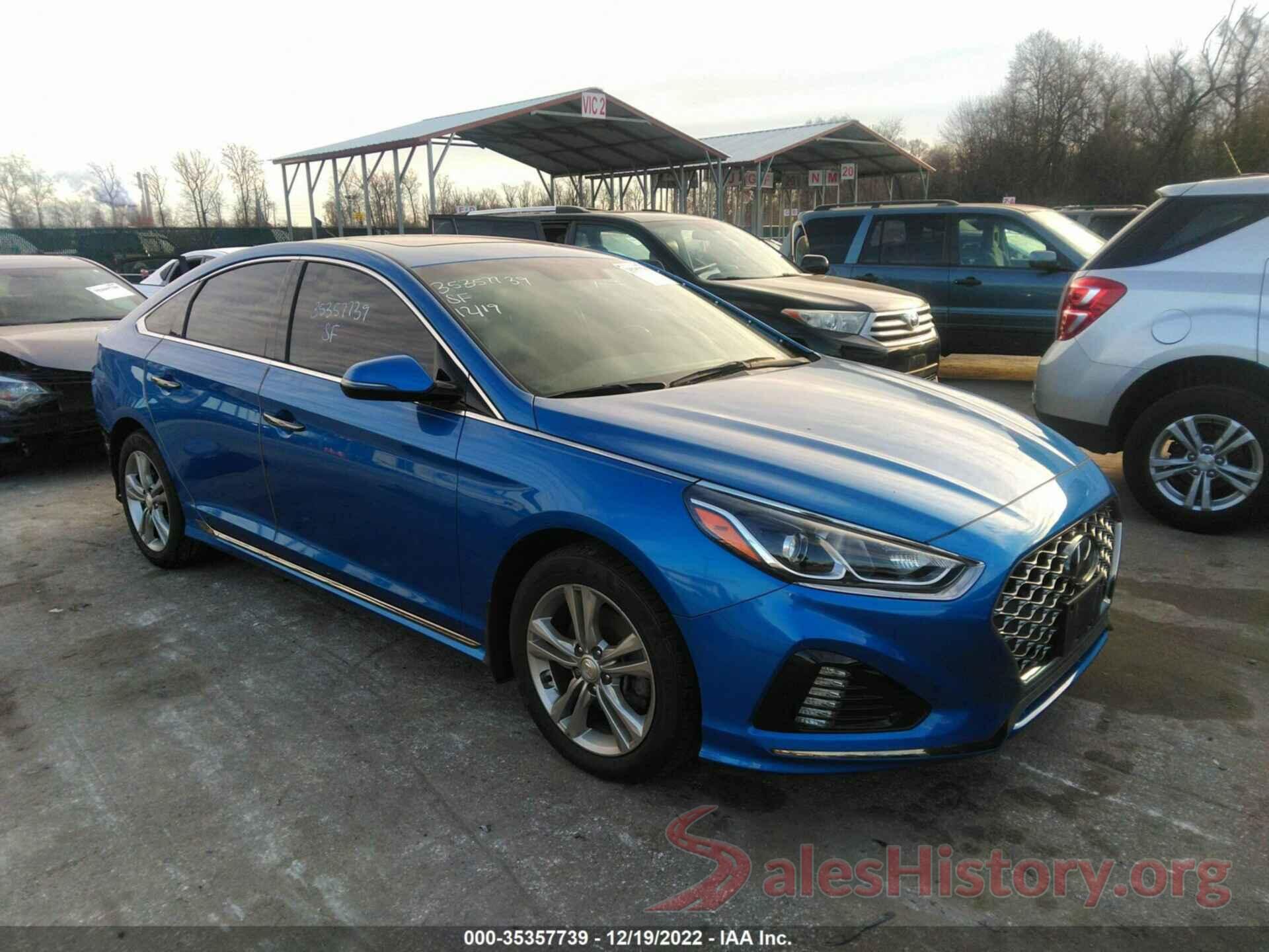 5NPE34AF1KH736409 2019 HYUNDAI SONATA