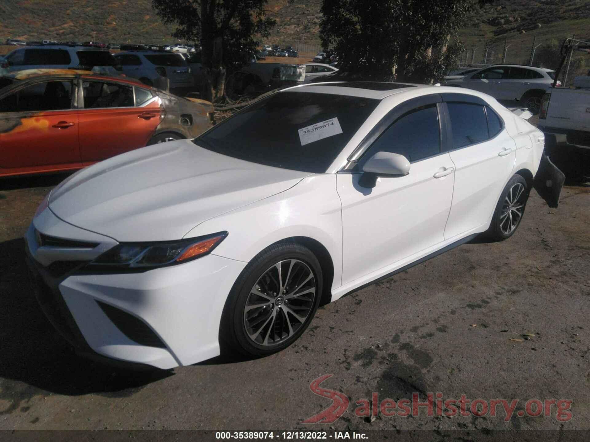 4T1B11HK2KU695204 2019 TOYOTA CAMRY