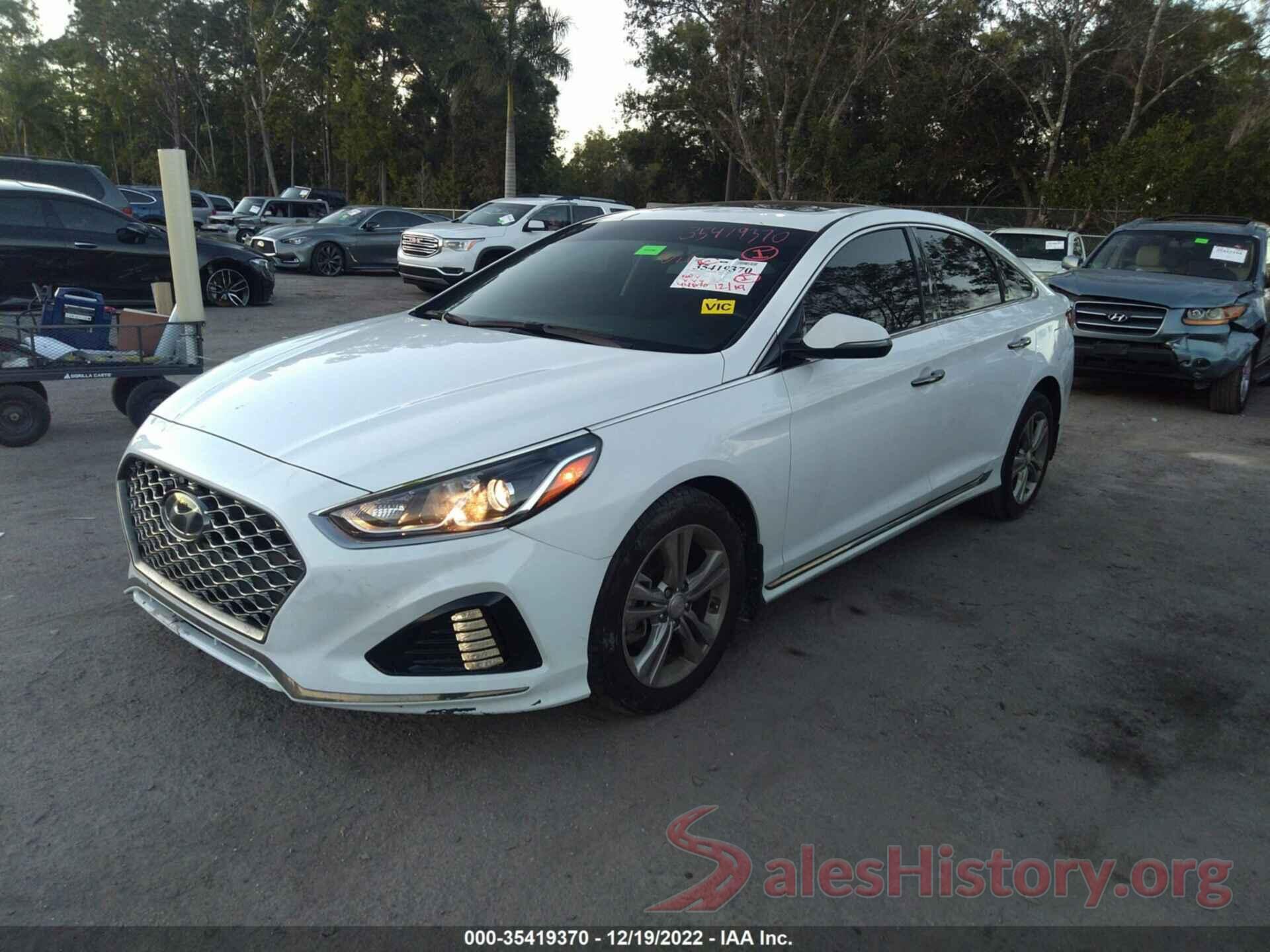 5NPE34AF1KH808676 2019 HYUNDAI SONATA