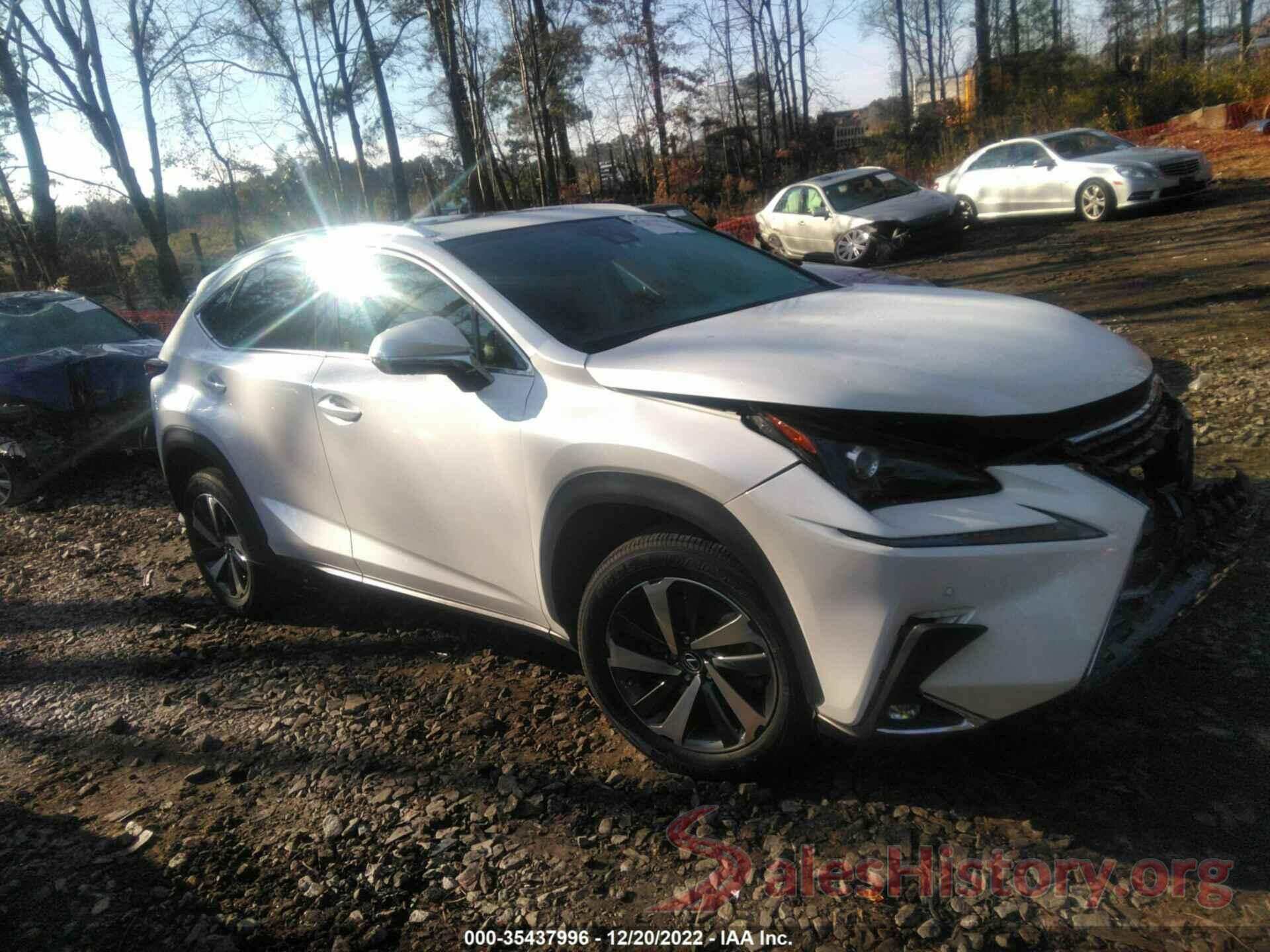 JTJGARBZ6L5005994 2020 LEXUS NX