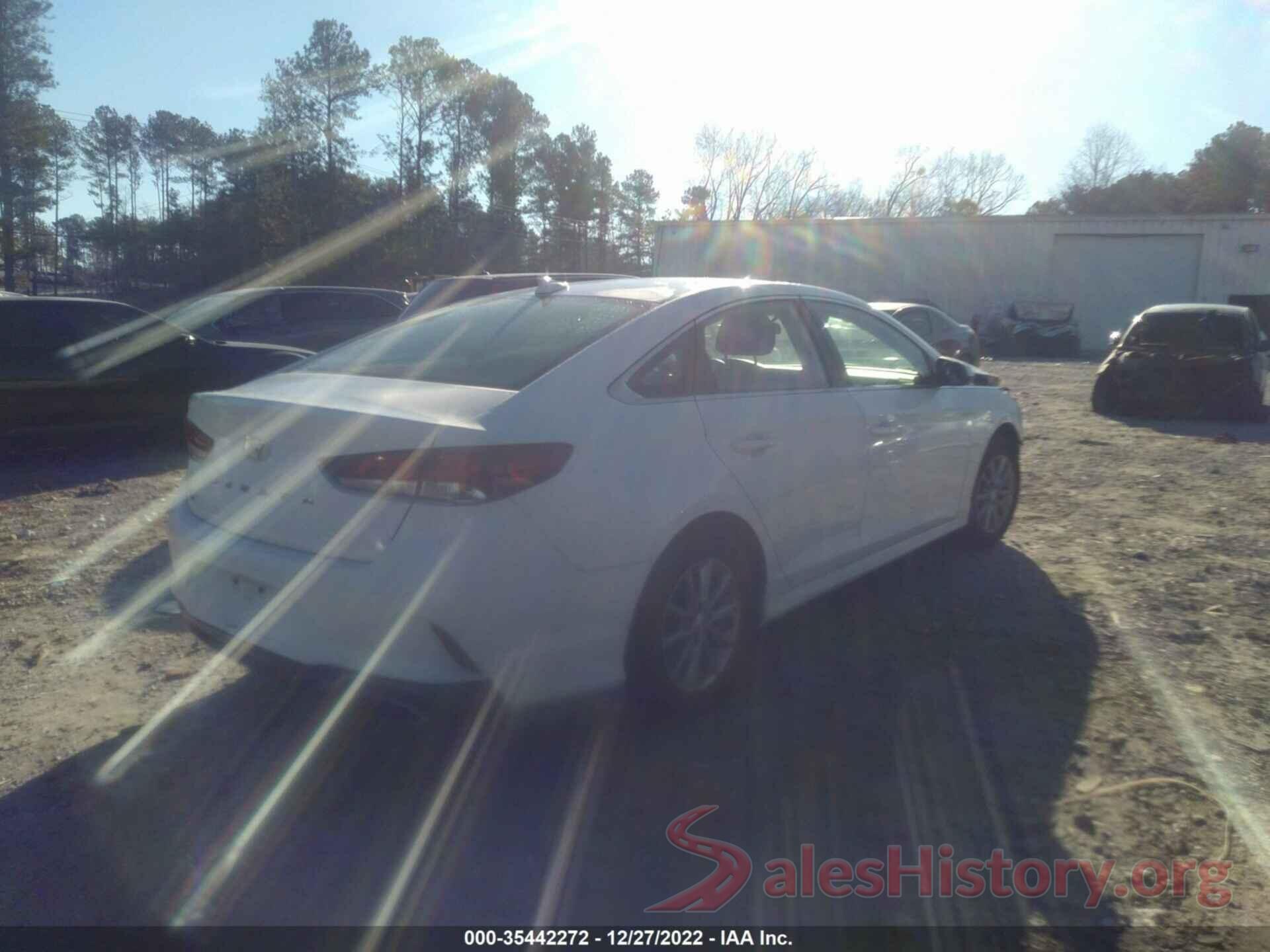 5NPE24AF9KH801896 2019 HYUNDAI SONATA