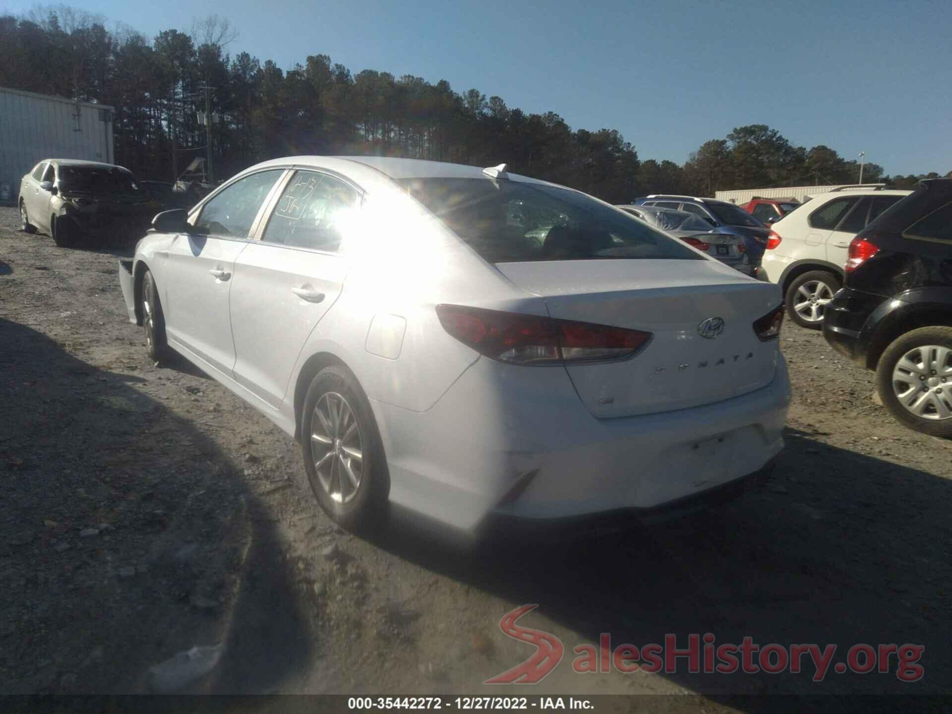 5NPE24AF9KH801896 2019 HYUNDAI SONATA