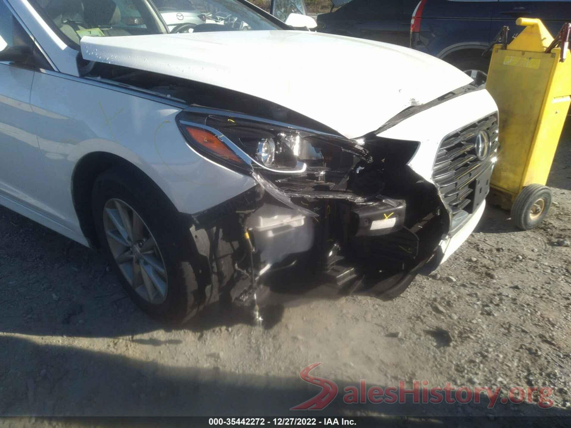 5NPE24AF9KH801896 2019 HYUNDAI SONATA