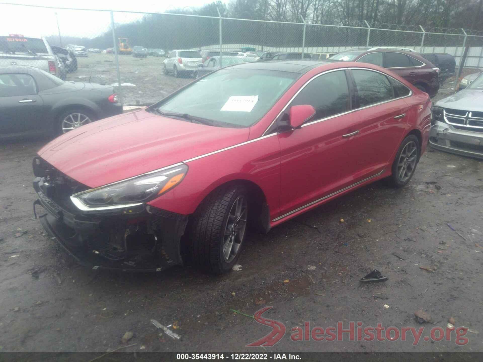 5NPE34AB3KH794437 2019 HYUNDAI SONATA