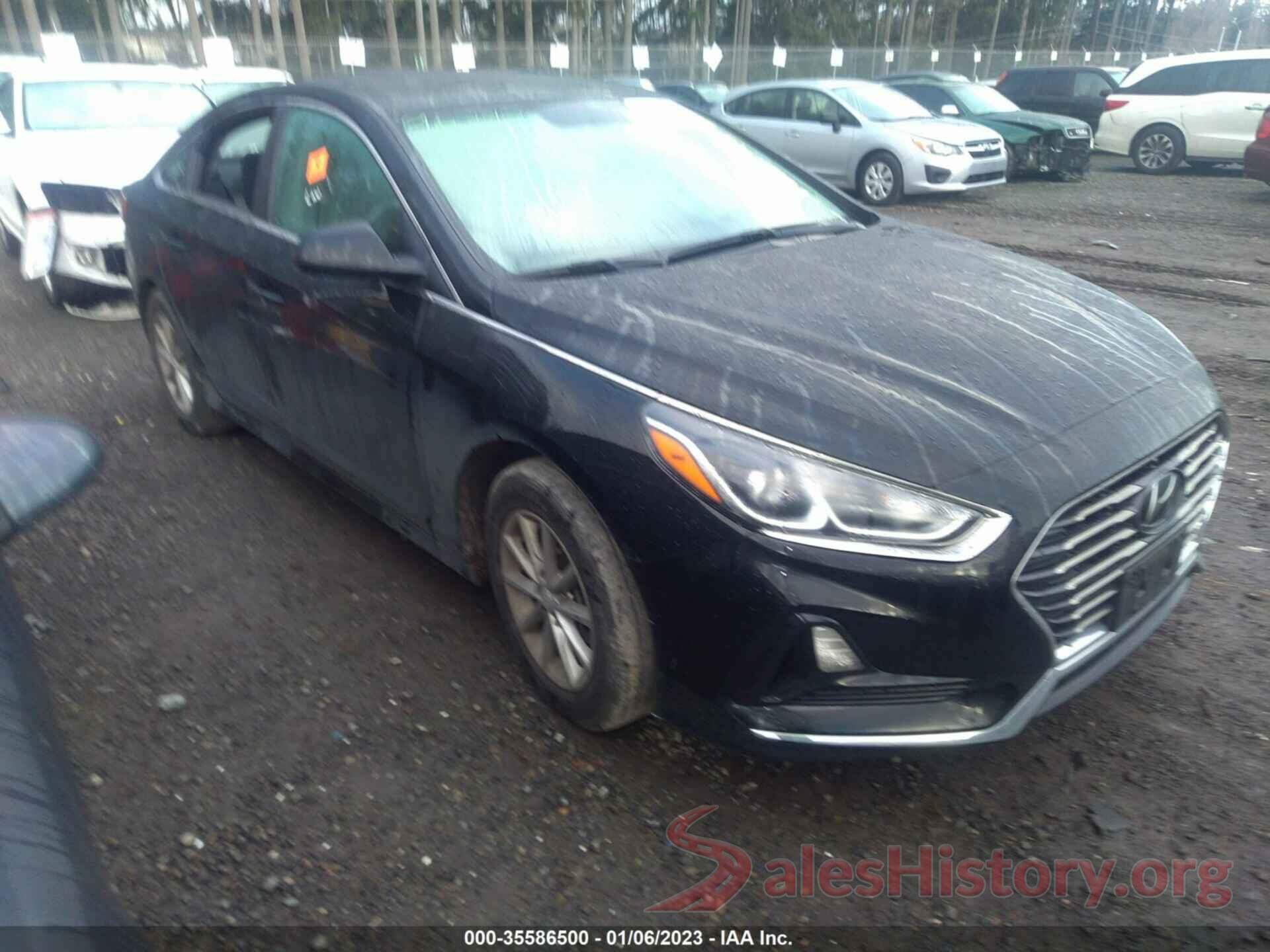 5NPE24AF8KH741948 2019 HYUNDAI SONATA