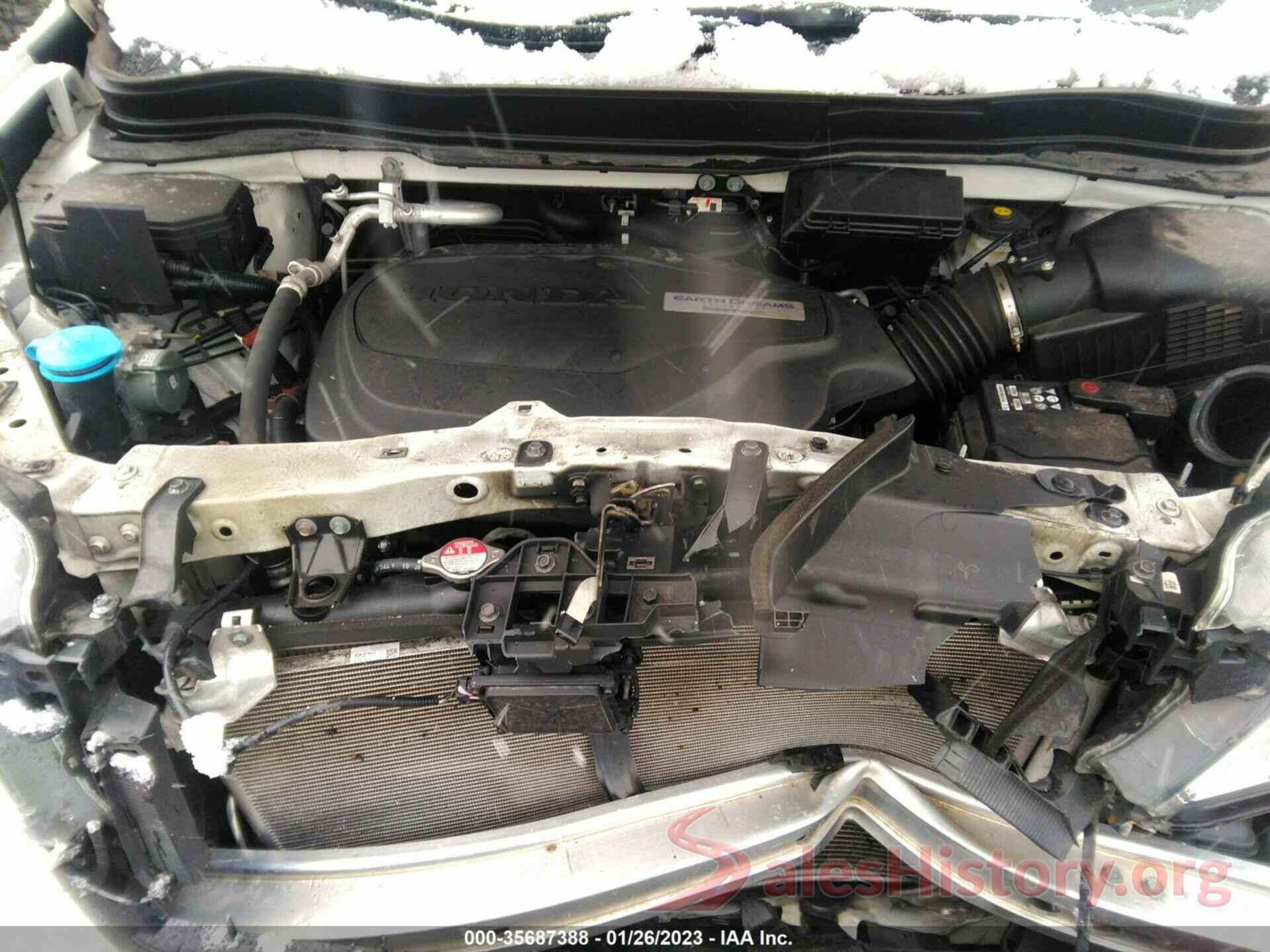 5FNYF6H99KB000784 2019 HONDA PILOT