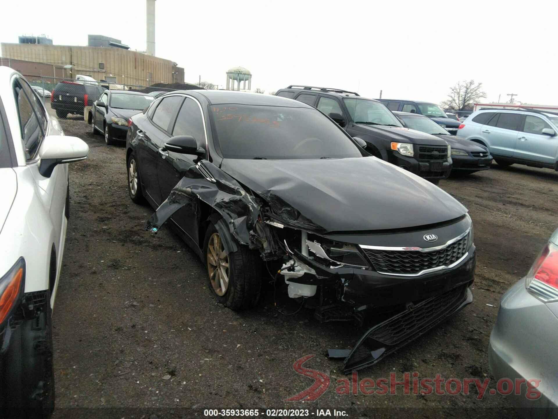 5XXGT4L31KG278359 2019 KIA OPTIMA