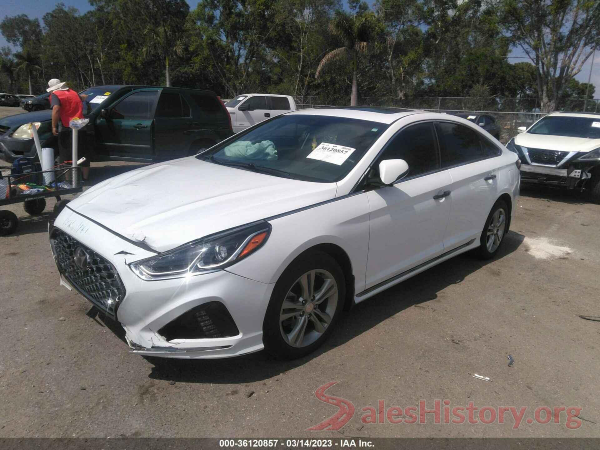 5NPE34AF8KH779970 2019 HYUNDAI SONATA