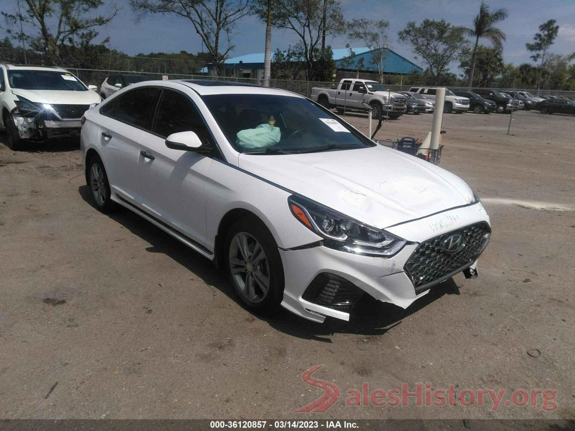 5NPE34AF8KH779970 2019 HYUNDAI SONATA