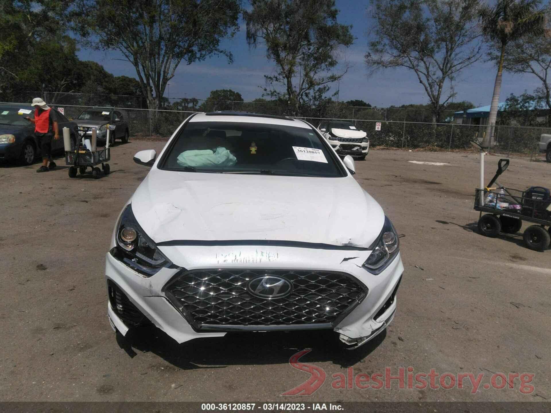 5NPE34AF8KH779970 2019 HYUNDAI SONATA