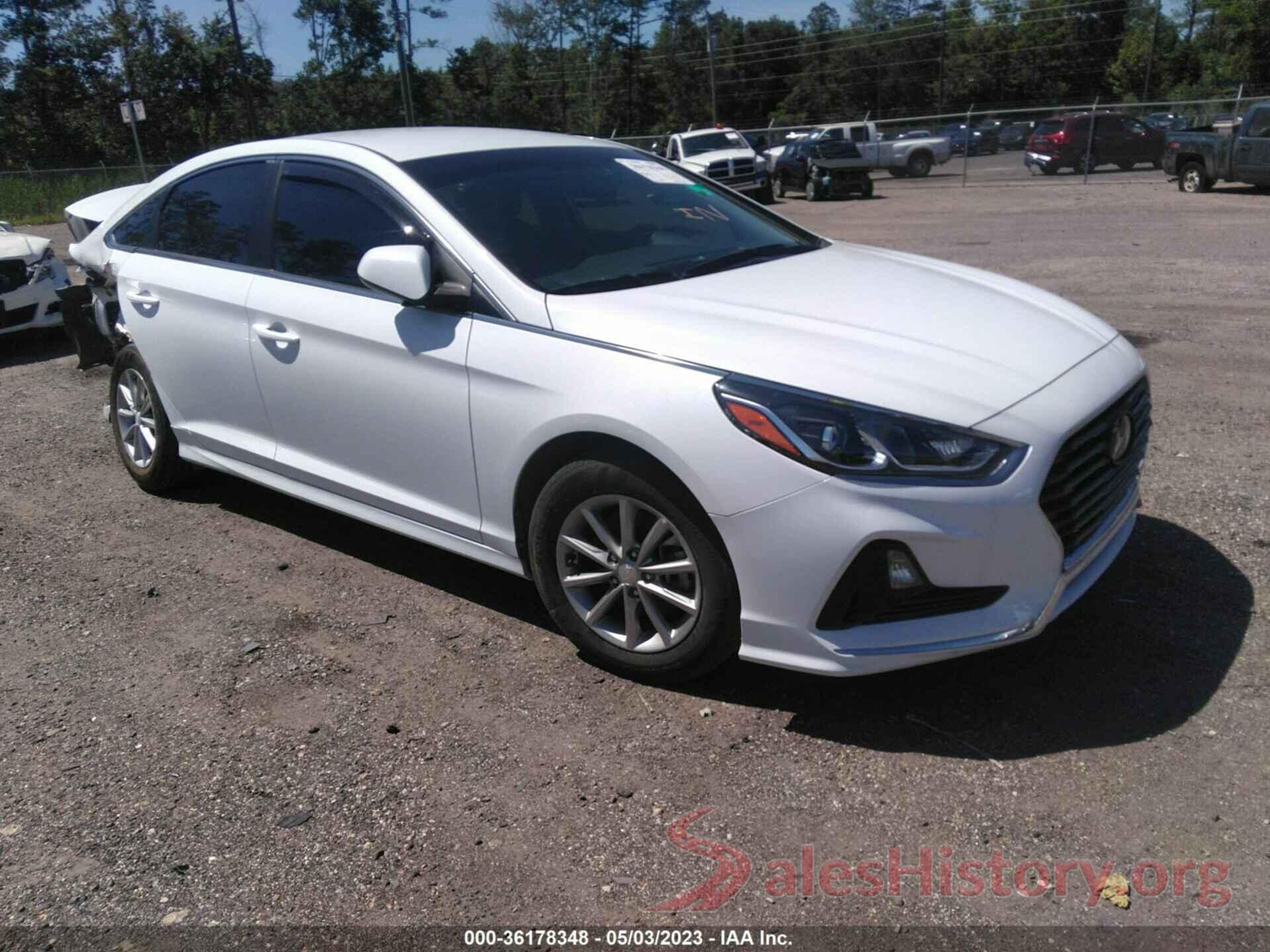 5NPE24AF1KH817087 2019 HYUNDAI SONATA