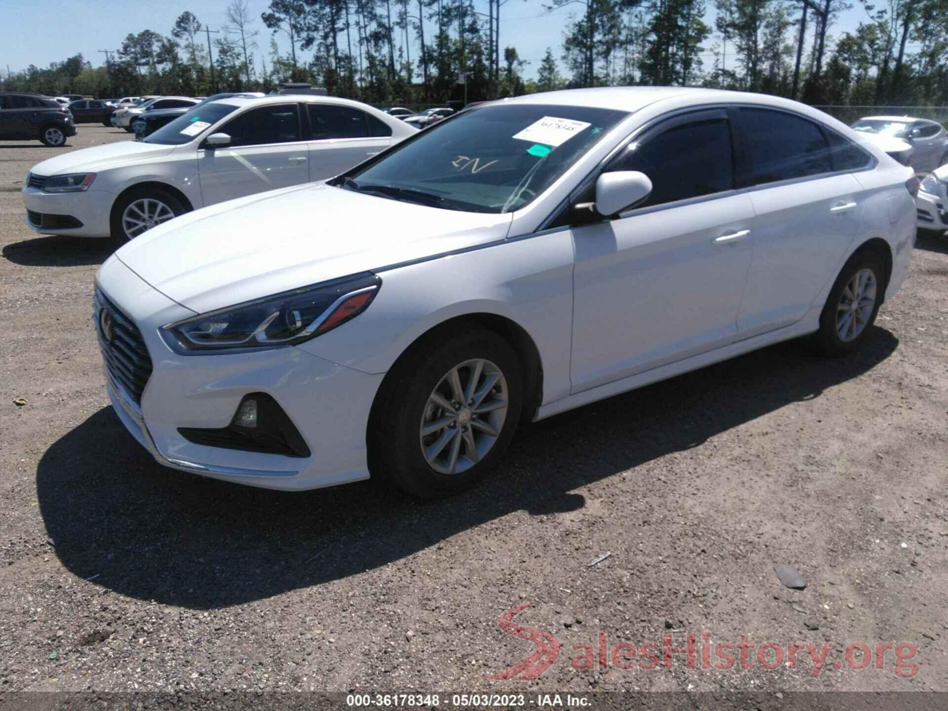 5NPE24AF1KH817087 2019 HYUNDAI SONATA