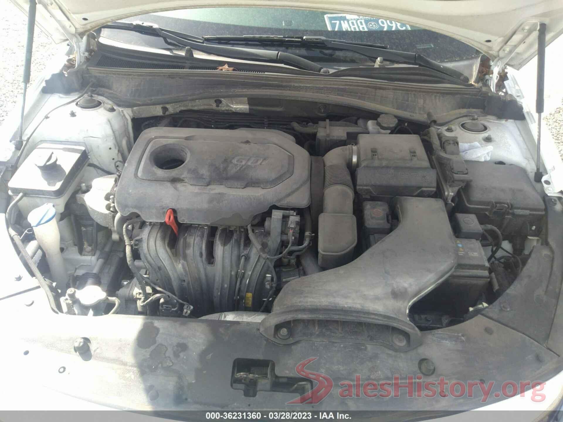 5XXGT4L3XKG312153 2019 KIA OPTIMA