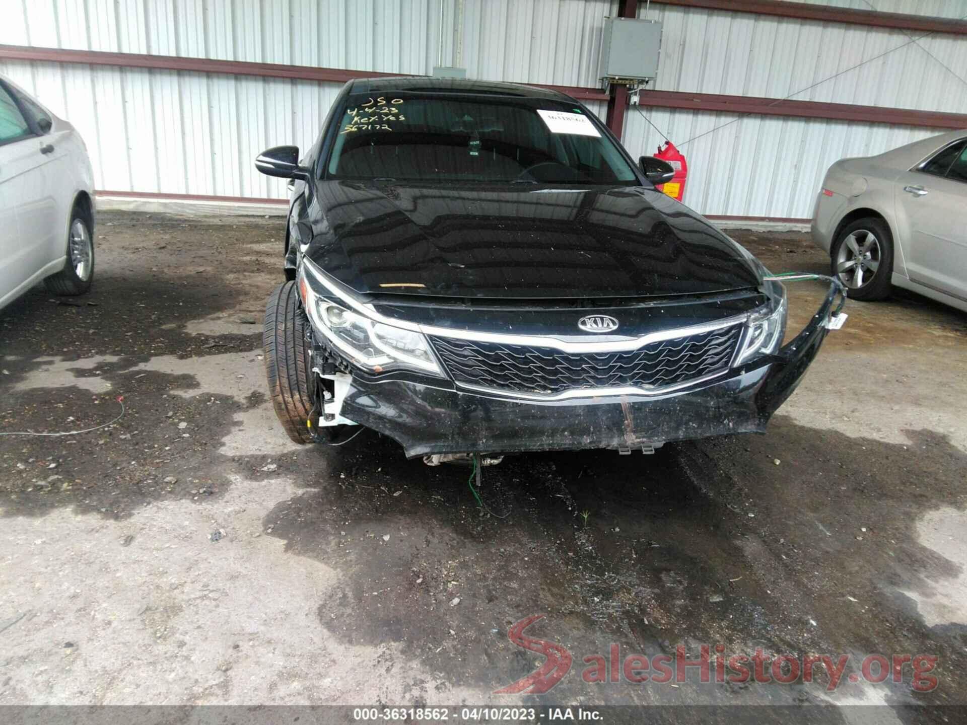 5XXGU4L19KG367172 2019 KIA OPTIMA