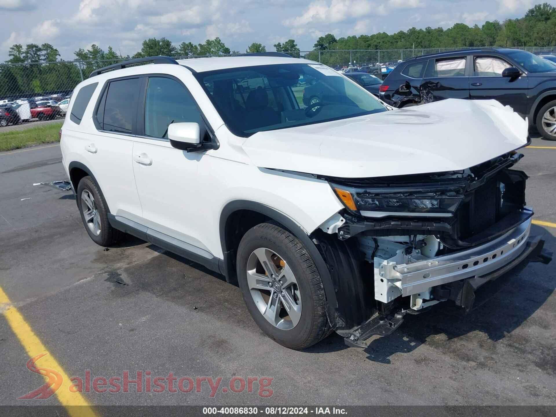 5FNYG1H58RB024811 2024 HONDA PILOT