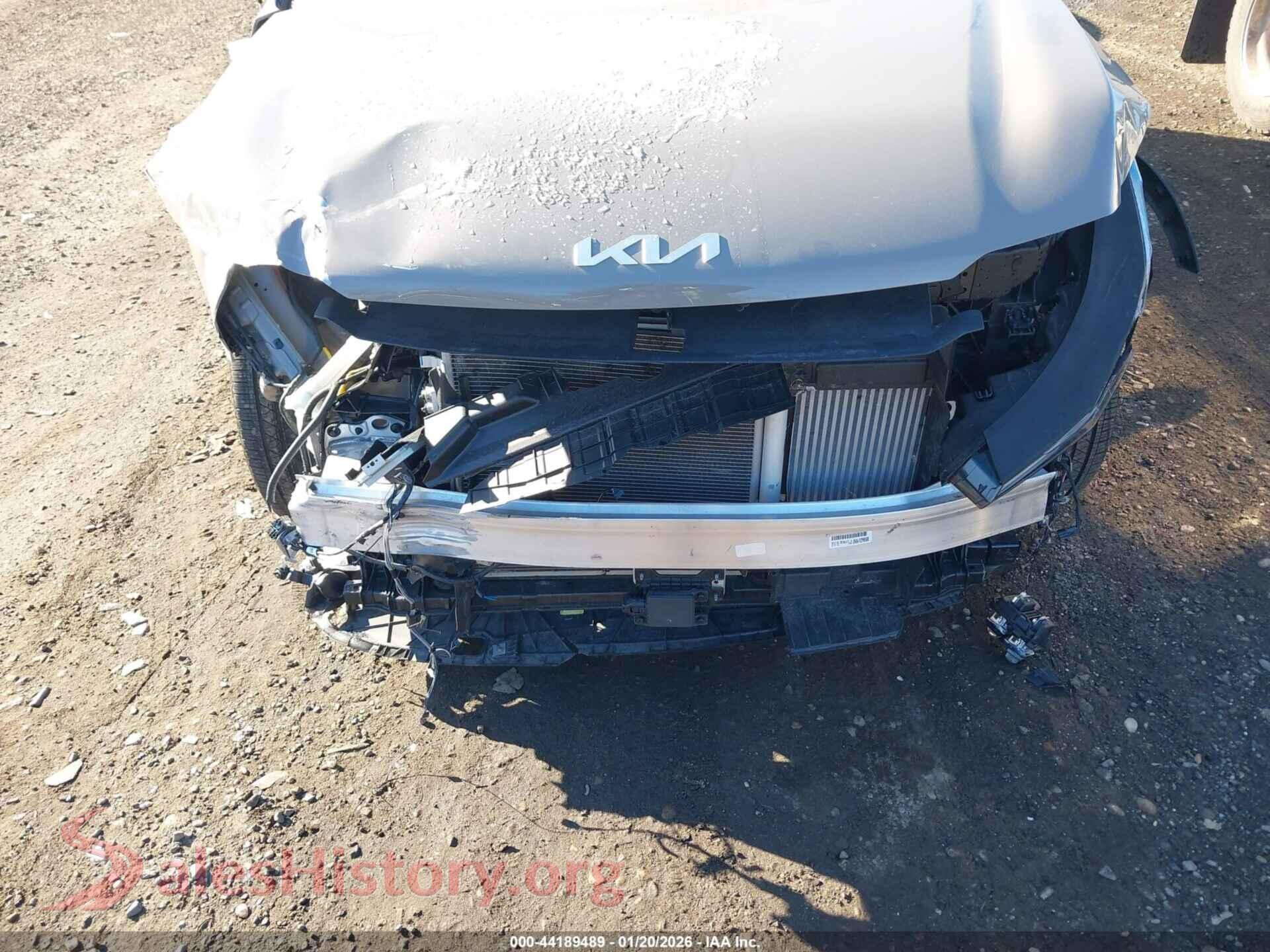 2024 KIA SORENTO VIN 5XYRHDJF4RG307186, rear passenger side