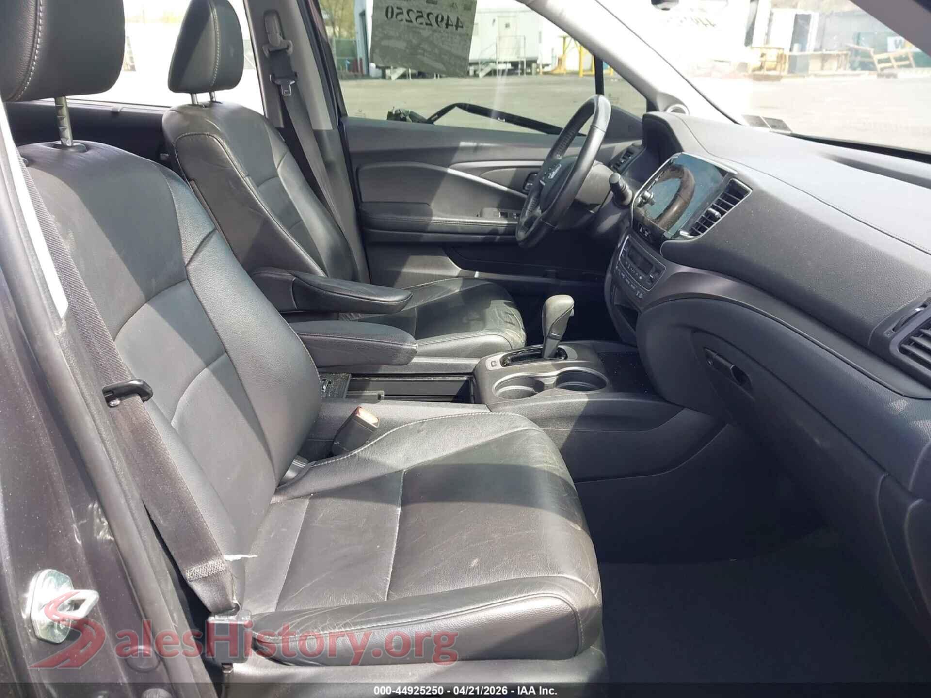 2019 HONDA PILOT VIN 5FNYF6H52KB059852, rear view